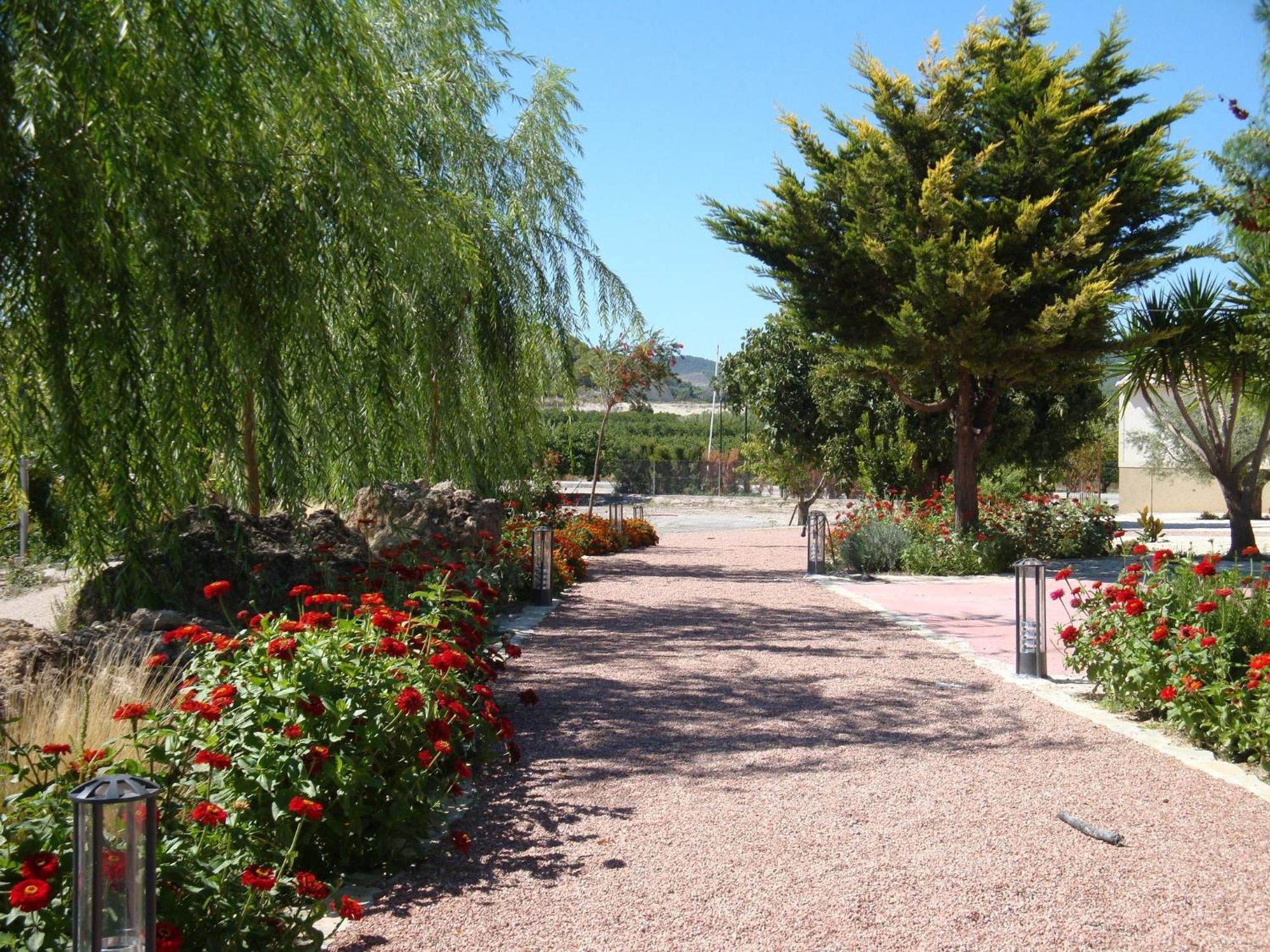 Pensión Jardines De Casablanca Caravaca De La Cruz