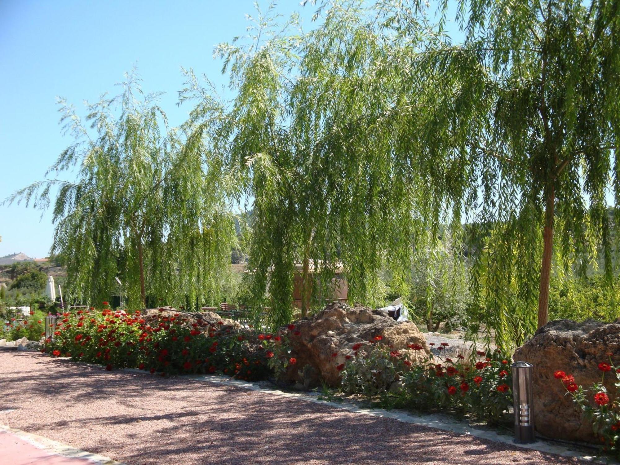 Jardines De Casablanca *