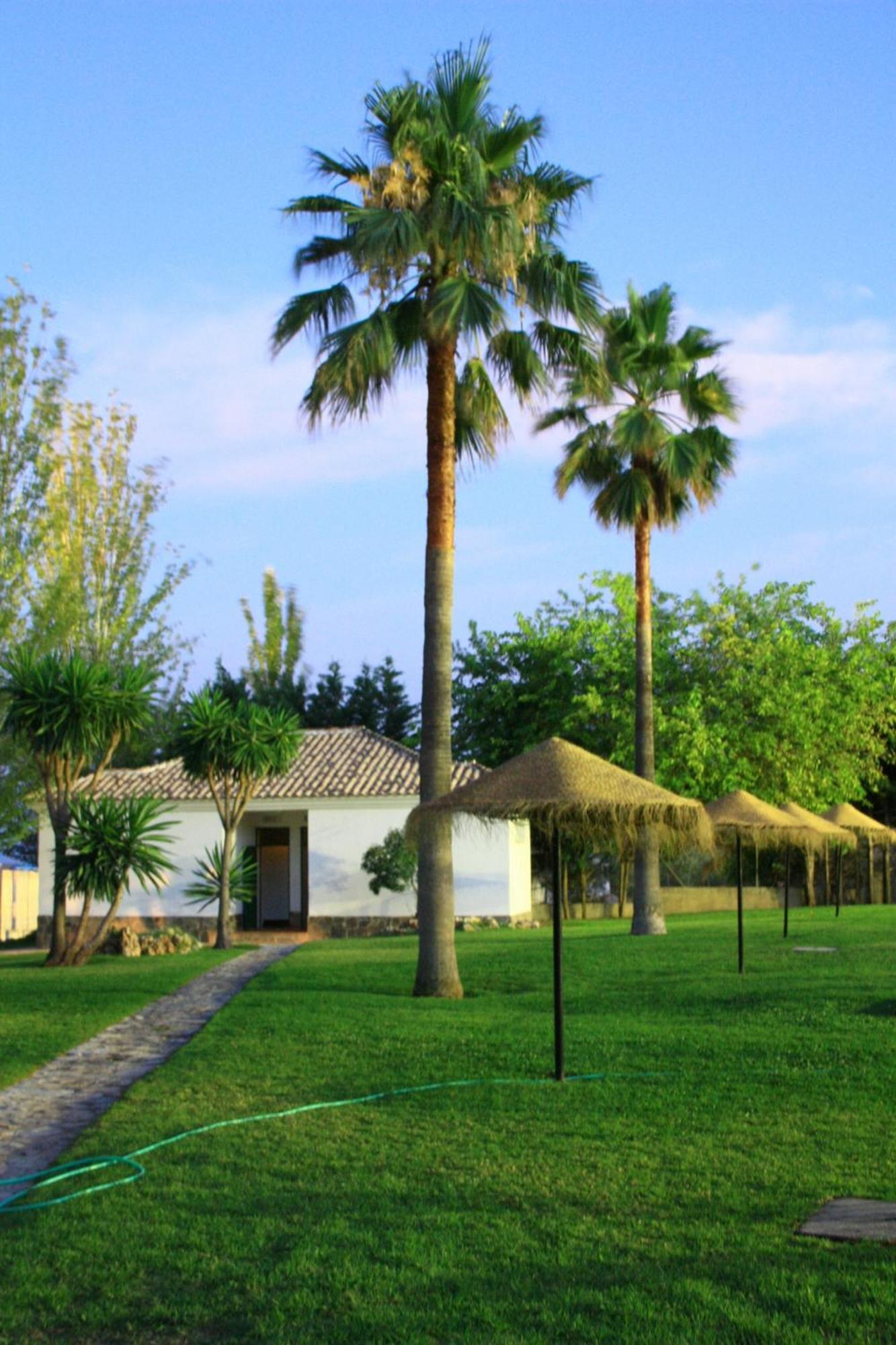 Sierra De Nieves Camping