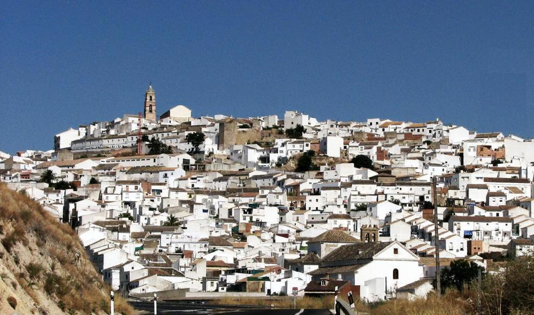 Los Claveles Guest house Baena