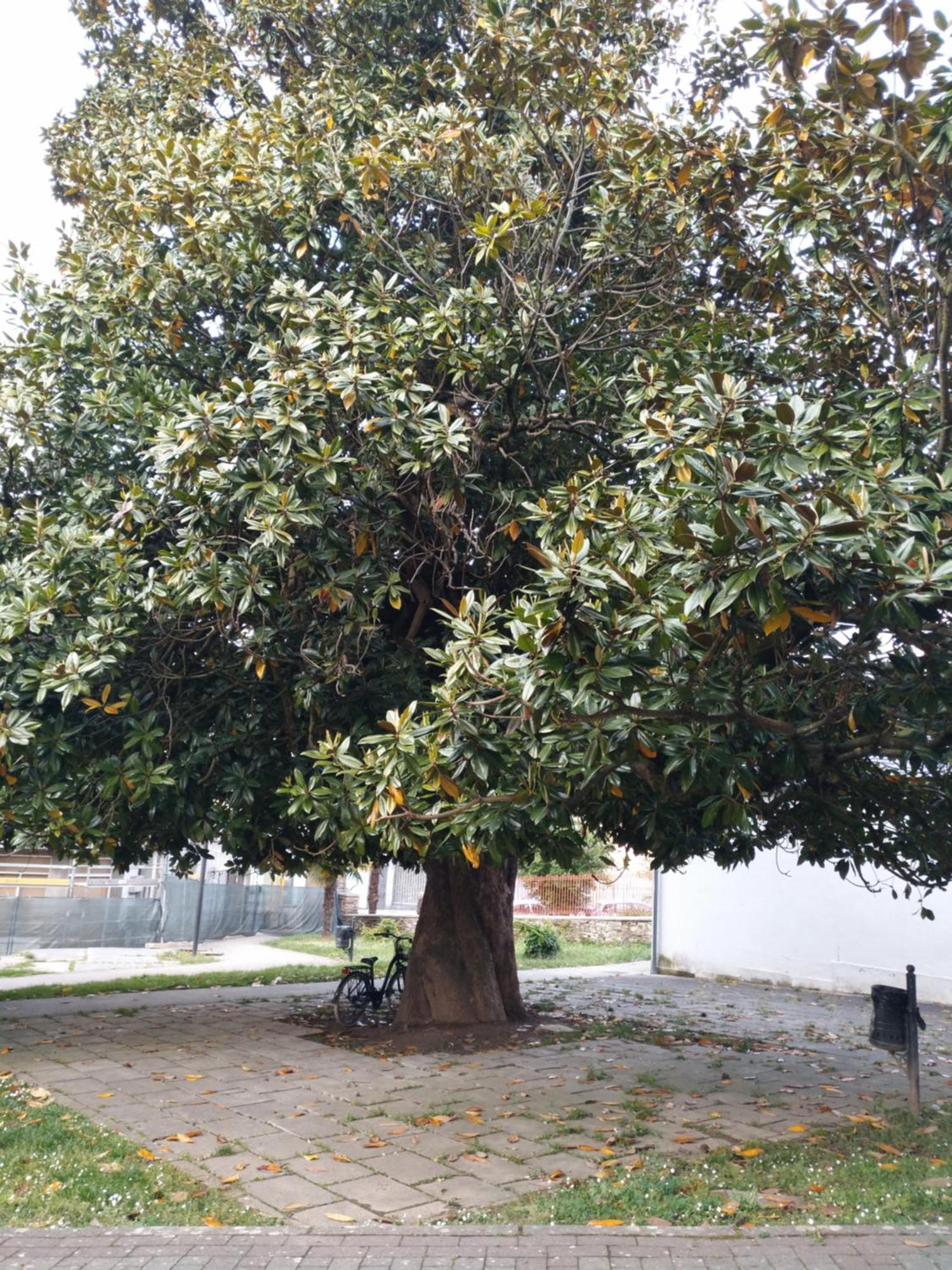 Pension-Albergue Don Alvaro Hostel