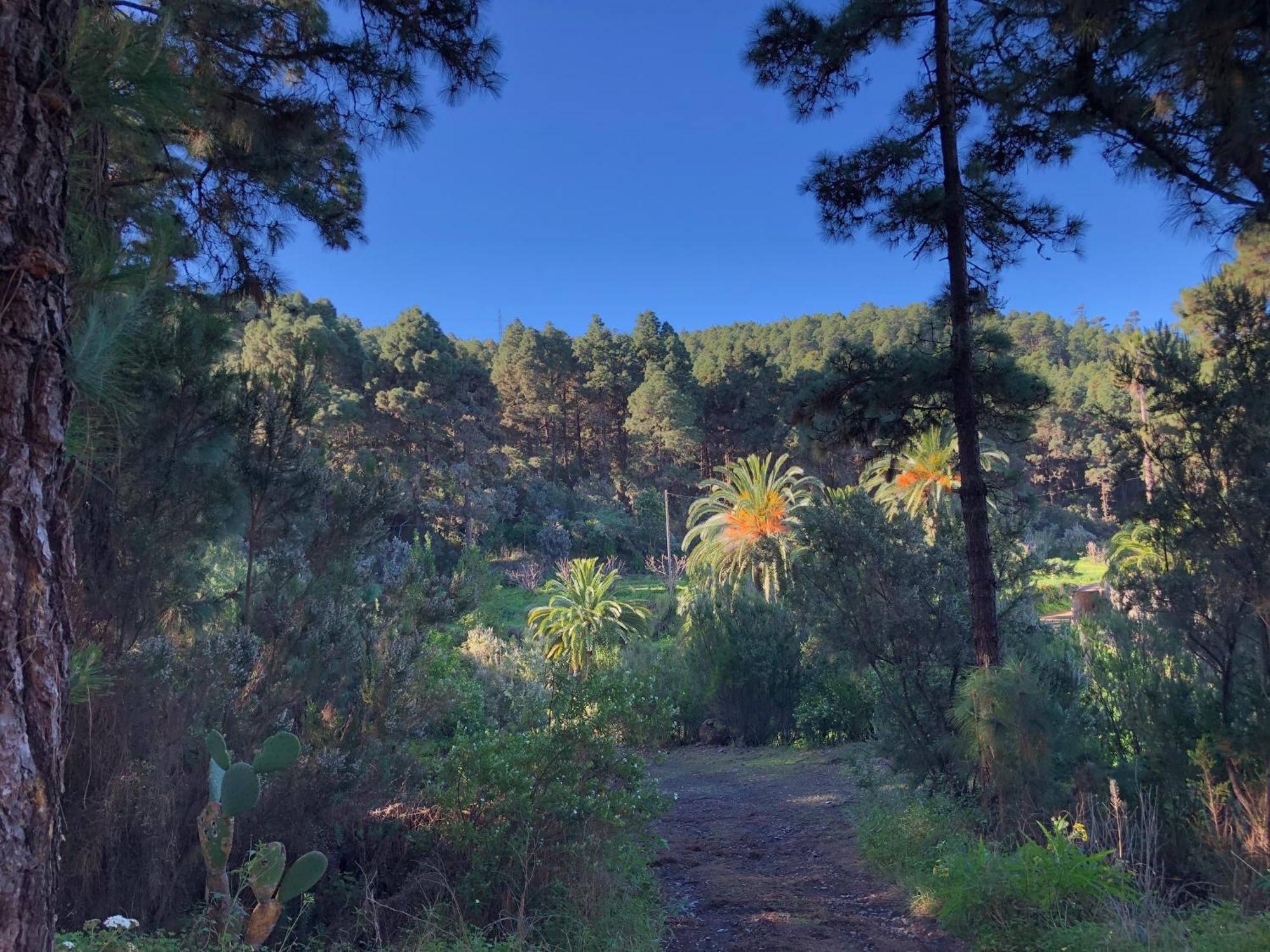 Monte Frio De Tenerife Casa rural