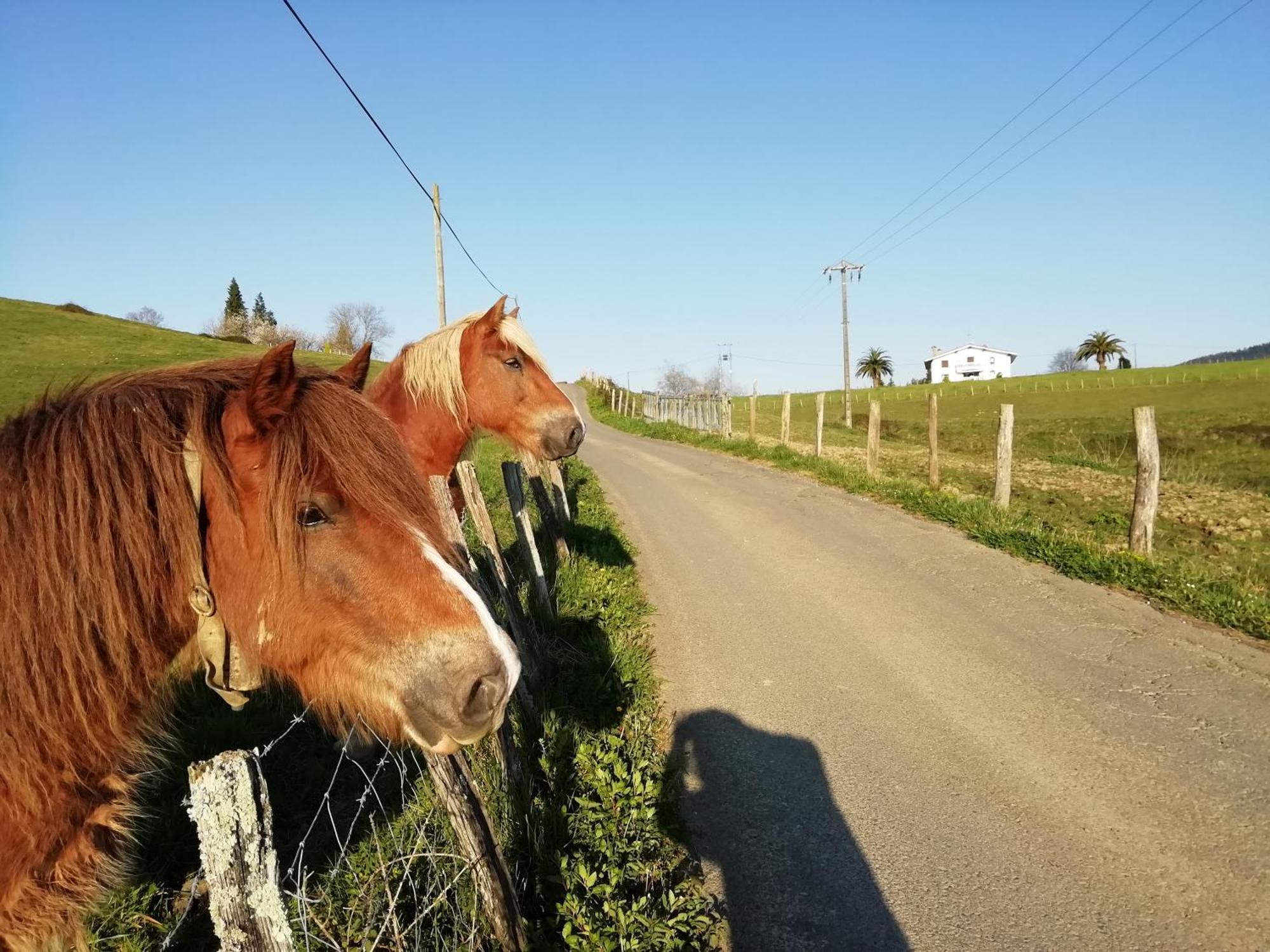 Pagoederraga Farm stay Orio