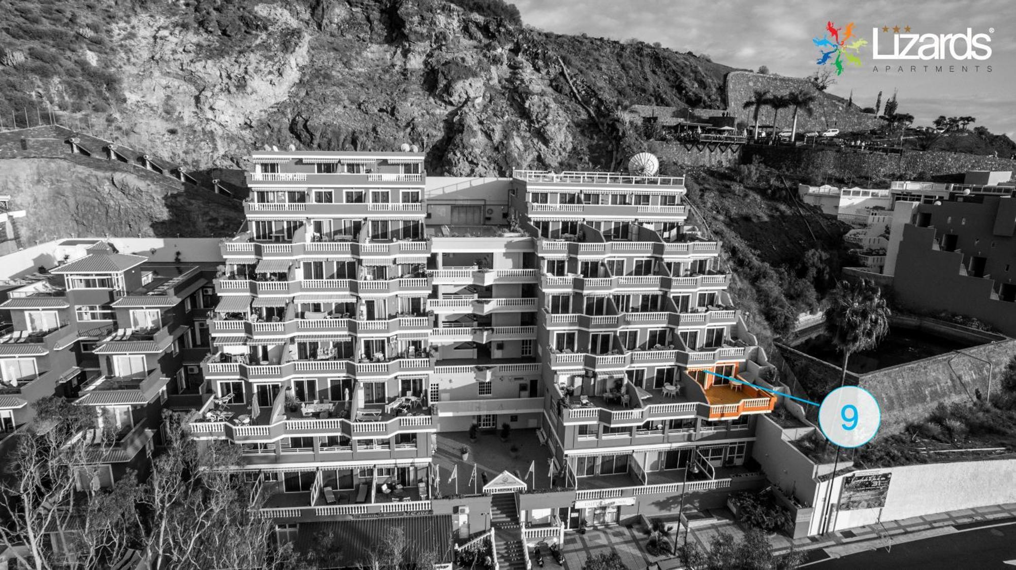 7lizards - Ocean View Puerto de Santiago (Tenerife)