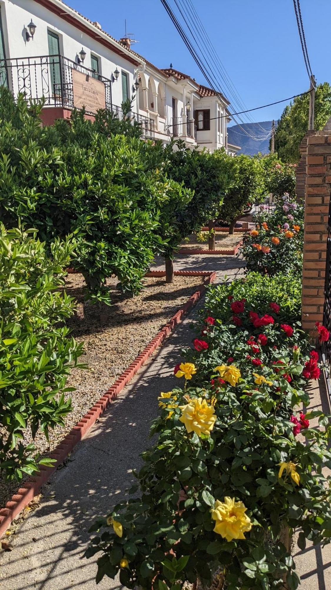 La Canota King Adults Only Holiday park *