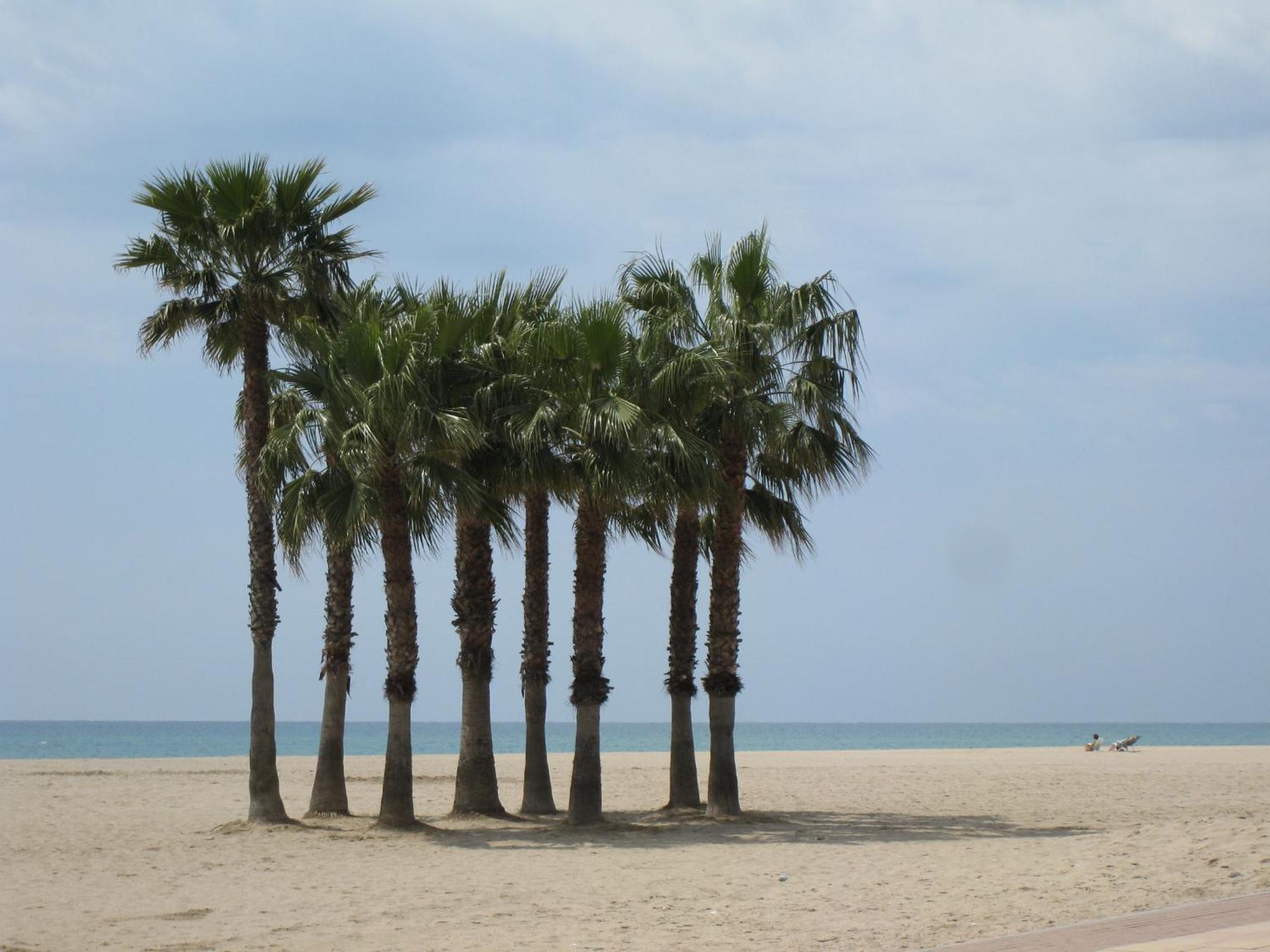 Palfuriana 86, A 30 Metros De La Playa Wifi Ideal Con Niños *
