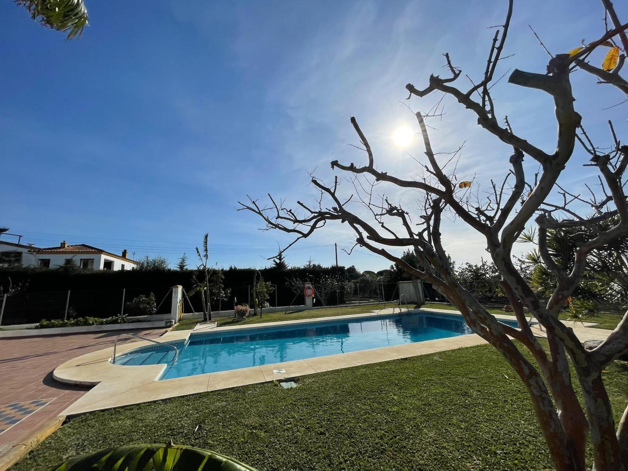La Tacita - Petunia Apartment