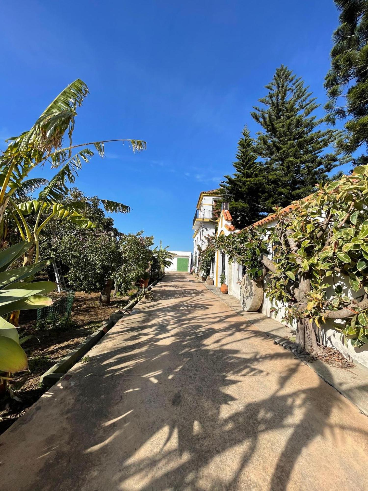 La Tacita - Petunia Apartment *
