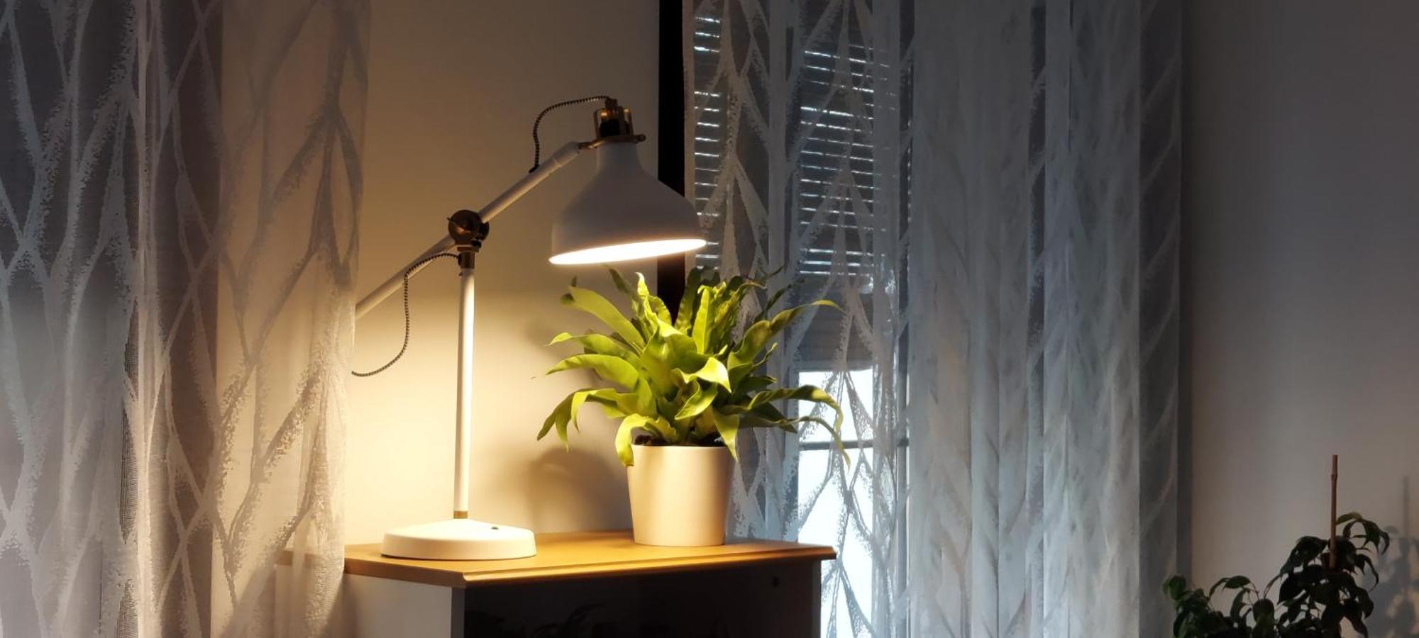 Apartamento Descalzos ángel