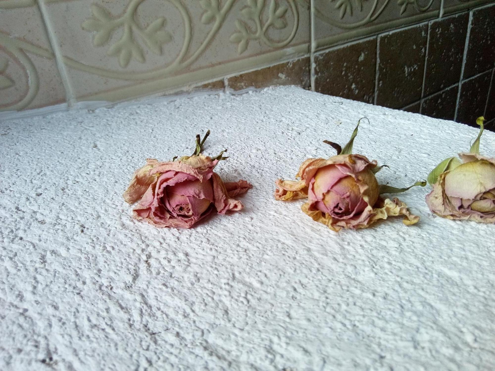 Apartamento Del Dulce Sueño Mojares
