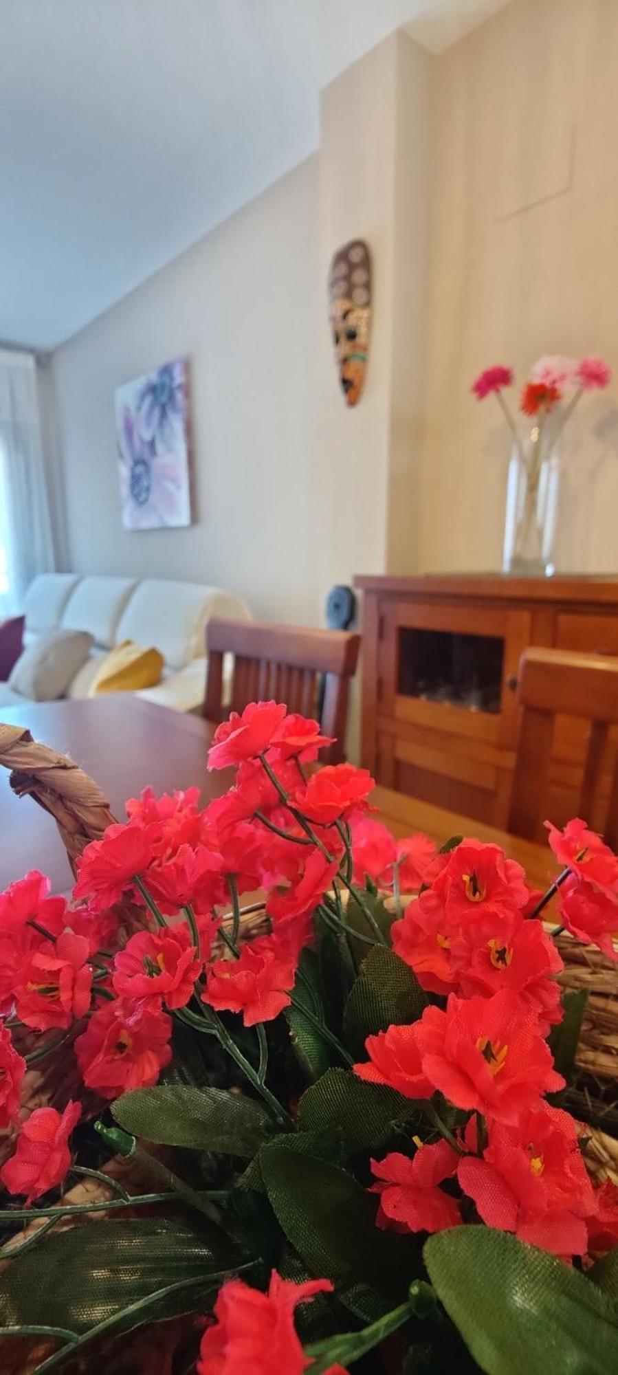 Ca L'esmolet Apartment *