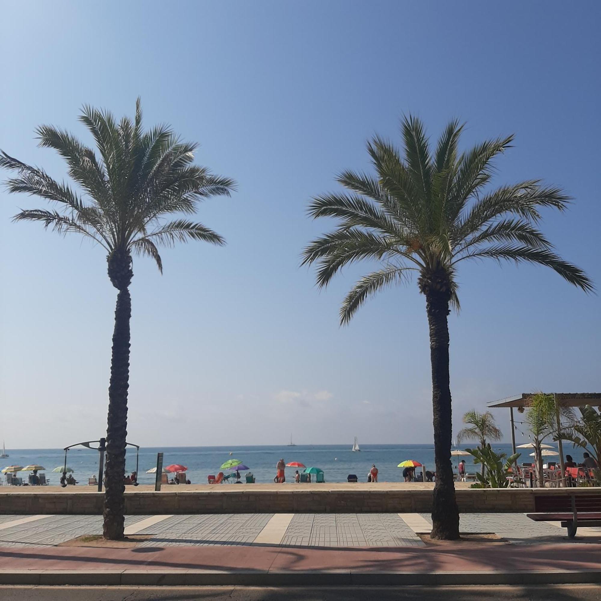 Cerca Playa Napoli Ii *
