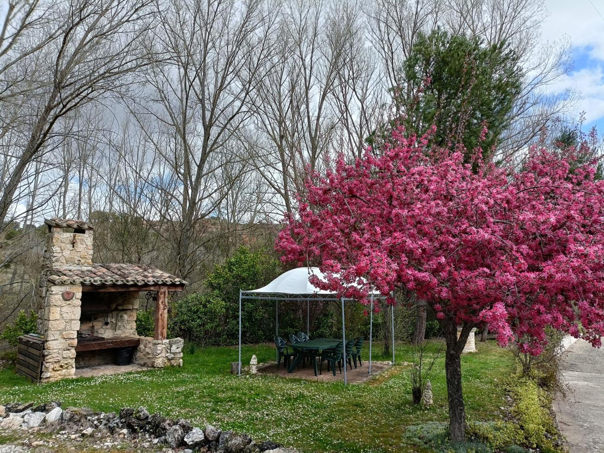 Paraiso Rural Holiday home *
