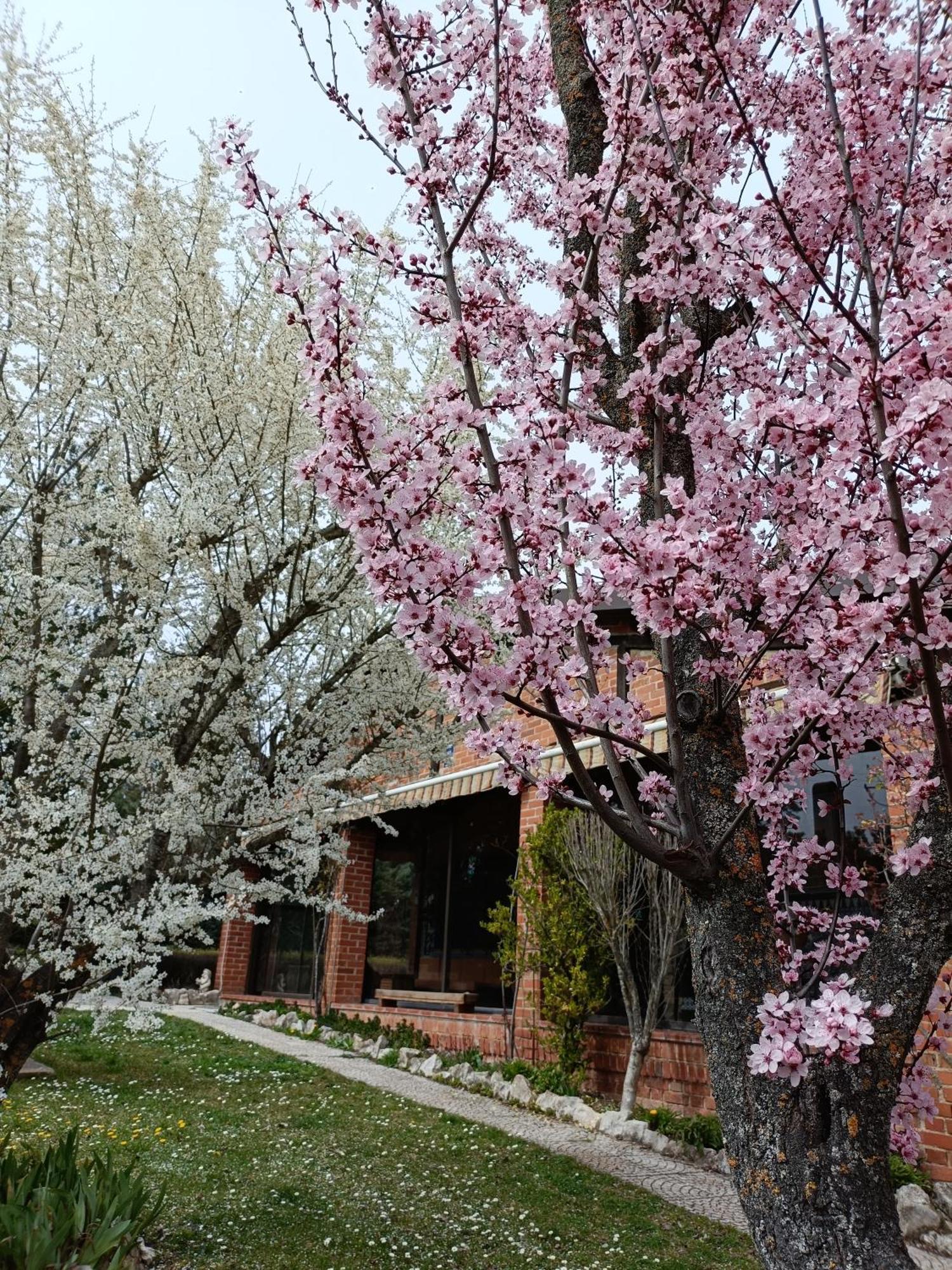 Paraiso Rural Holiday home