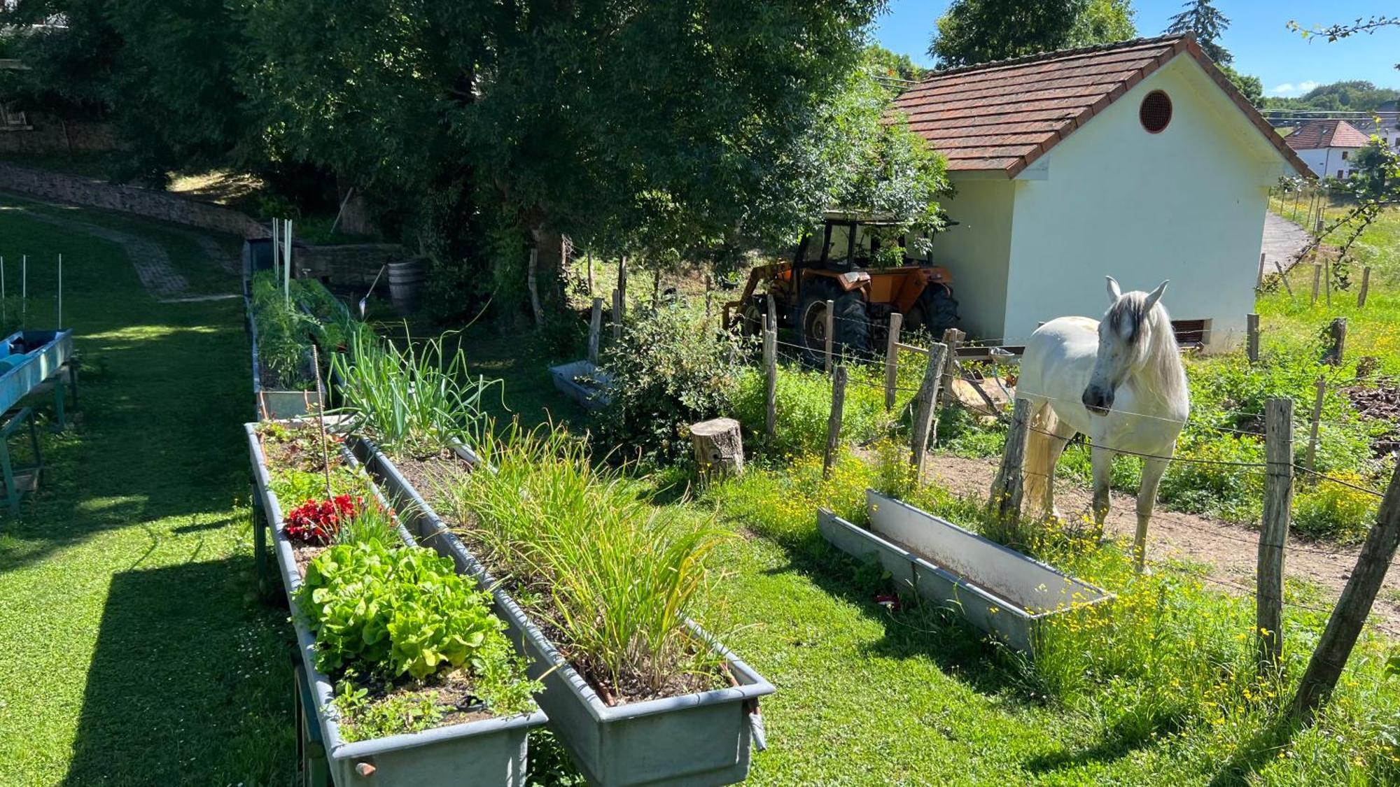 Rural Basque Irati *