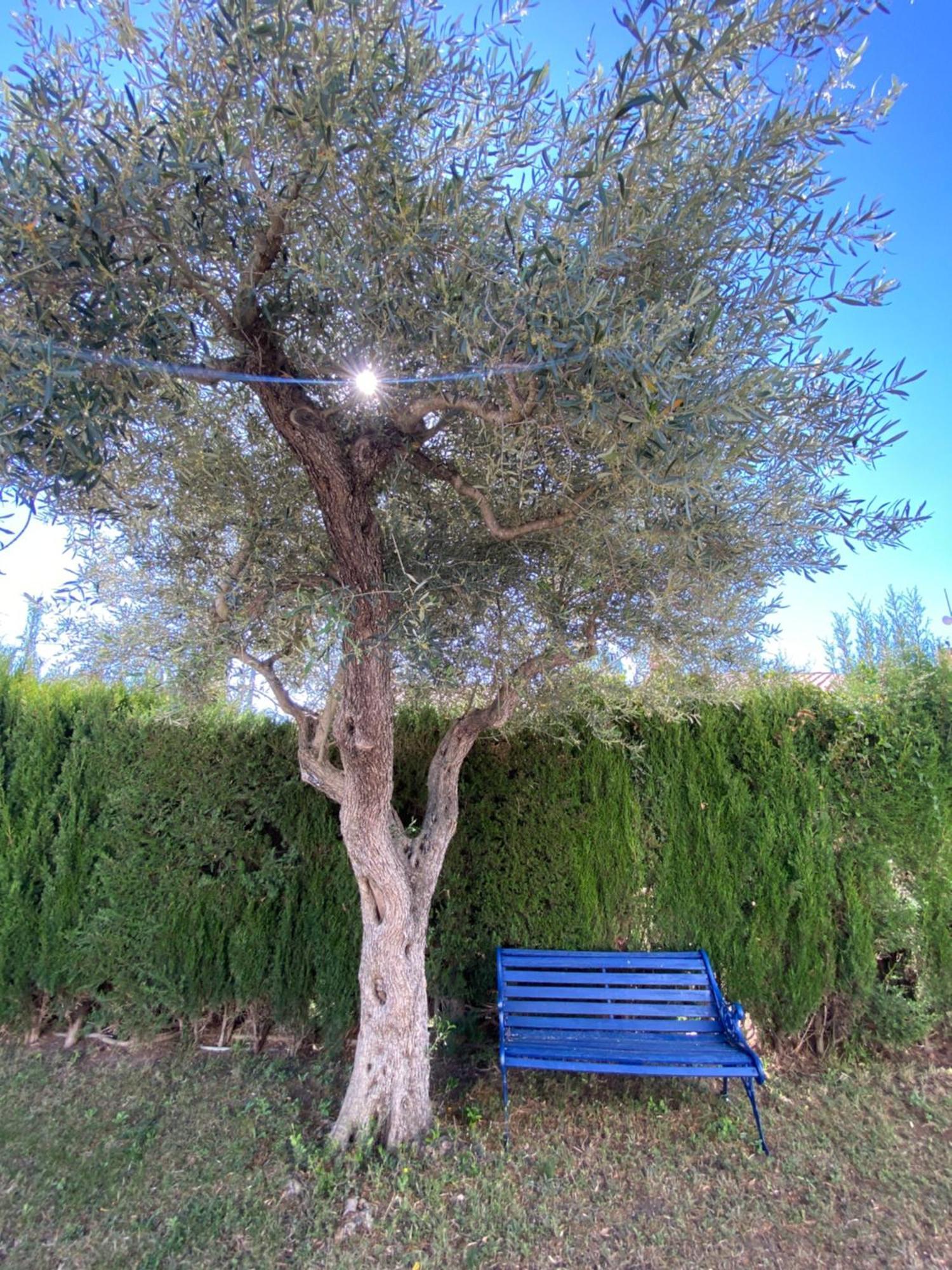 Holiday home Caramonte, En Costa Dorada *