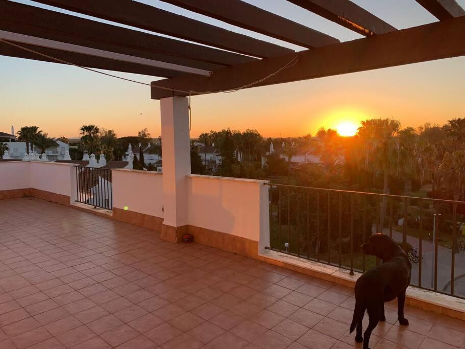 Atico Costa Ballena - Cadiz Apartment