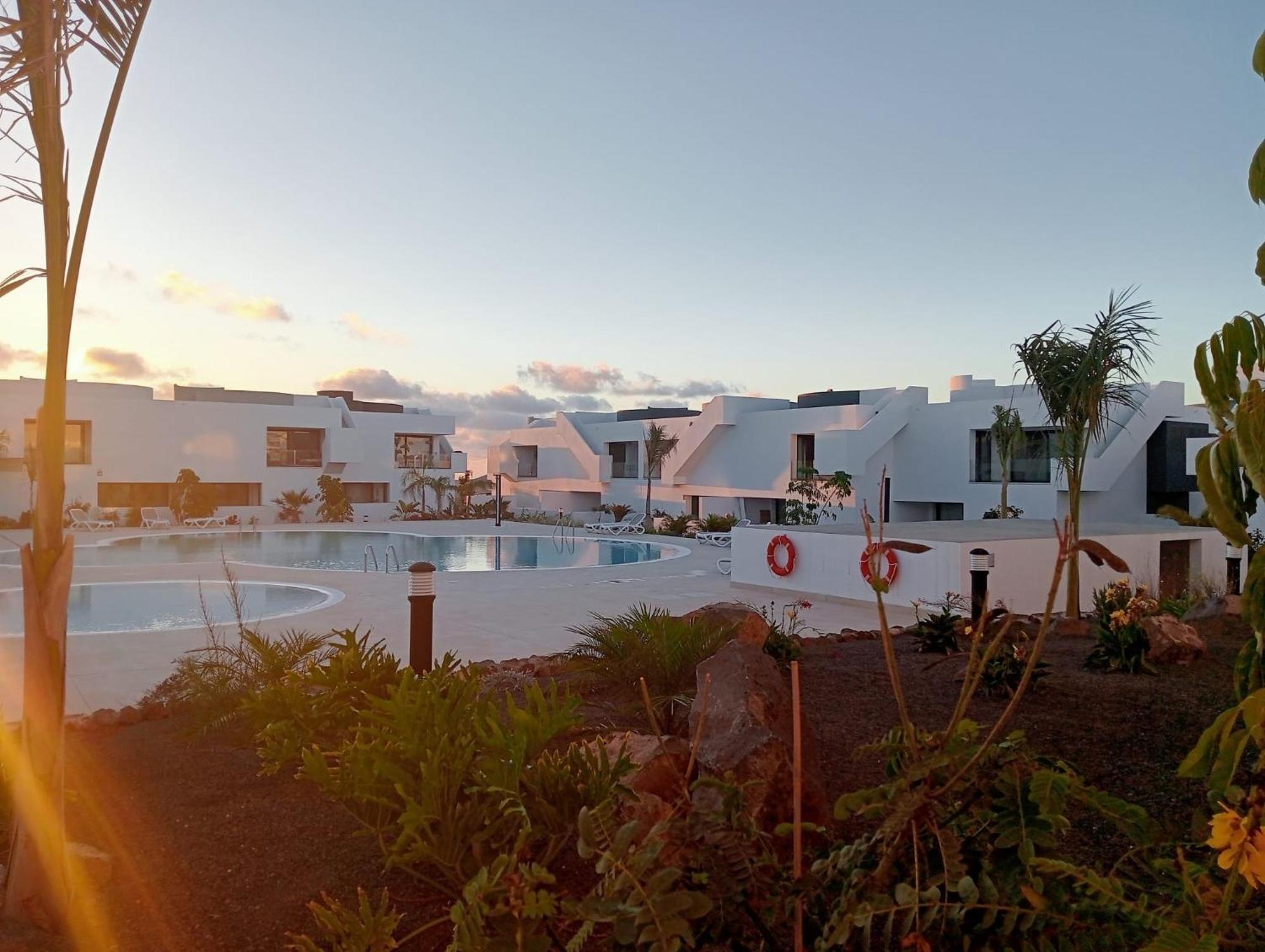 Aulaga Villaverde (Fuerteventura)