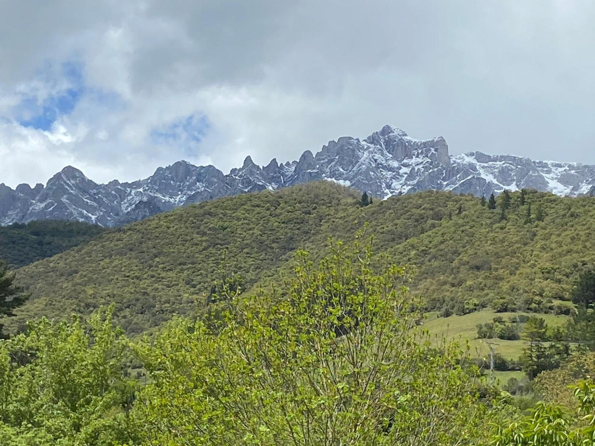 Inn Picos De Europa And