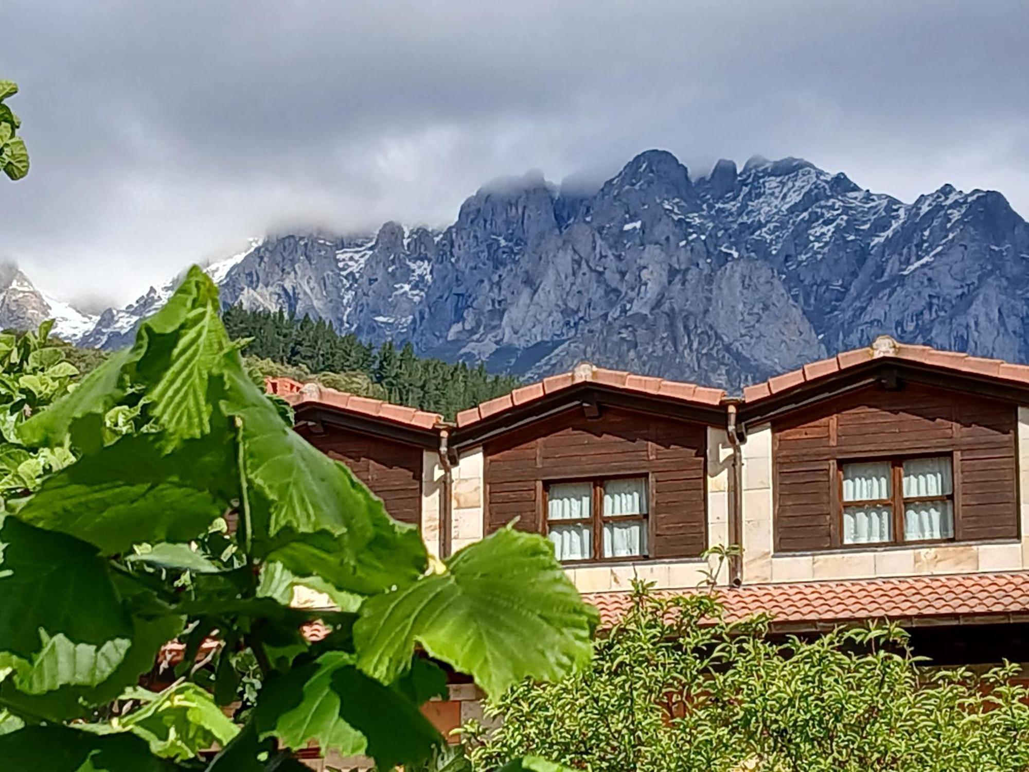 Picos De Europa And Inn Turieno