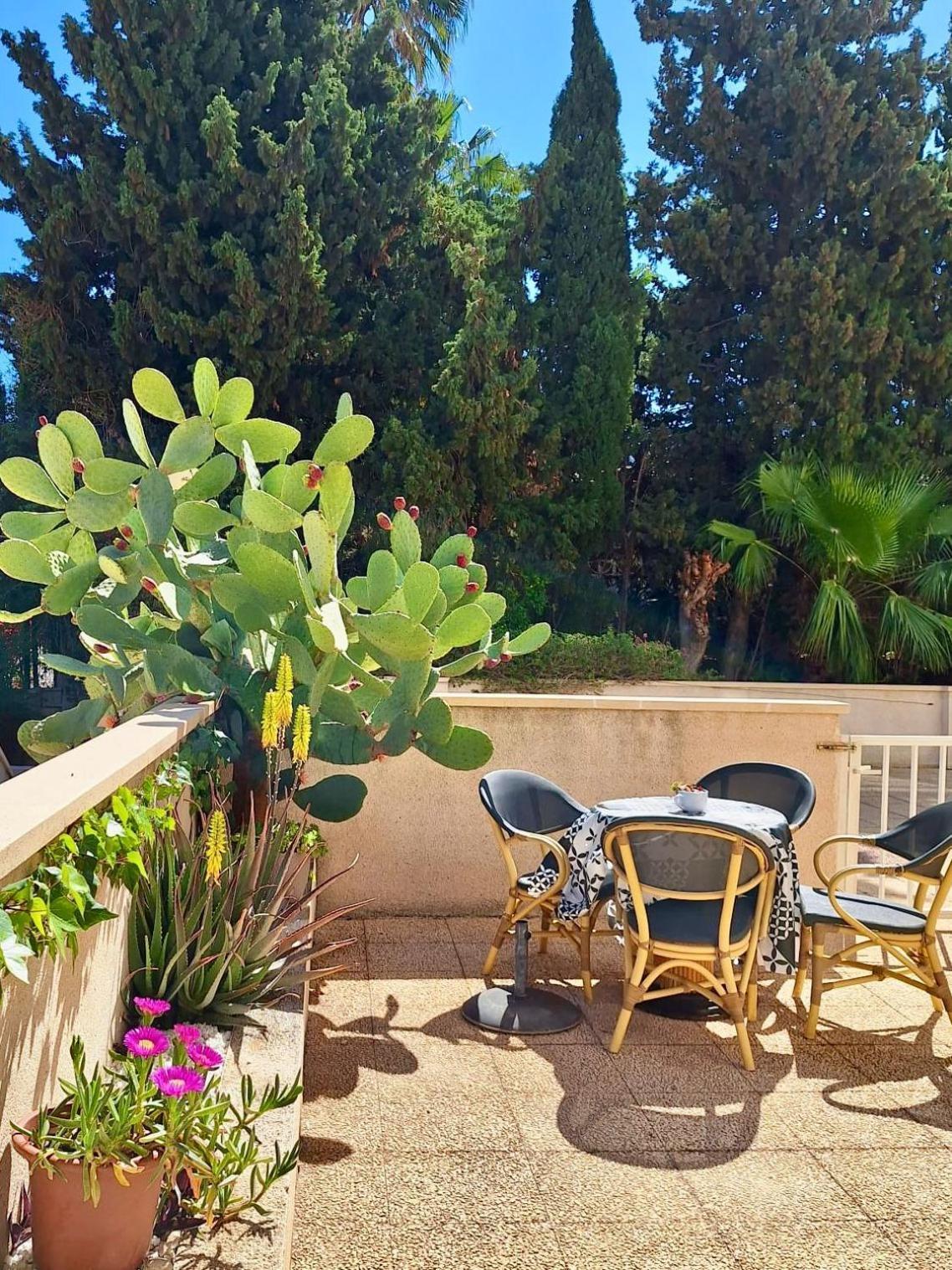 Sunny Albir * El Albir