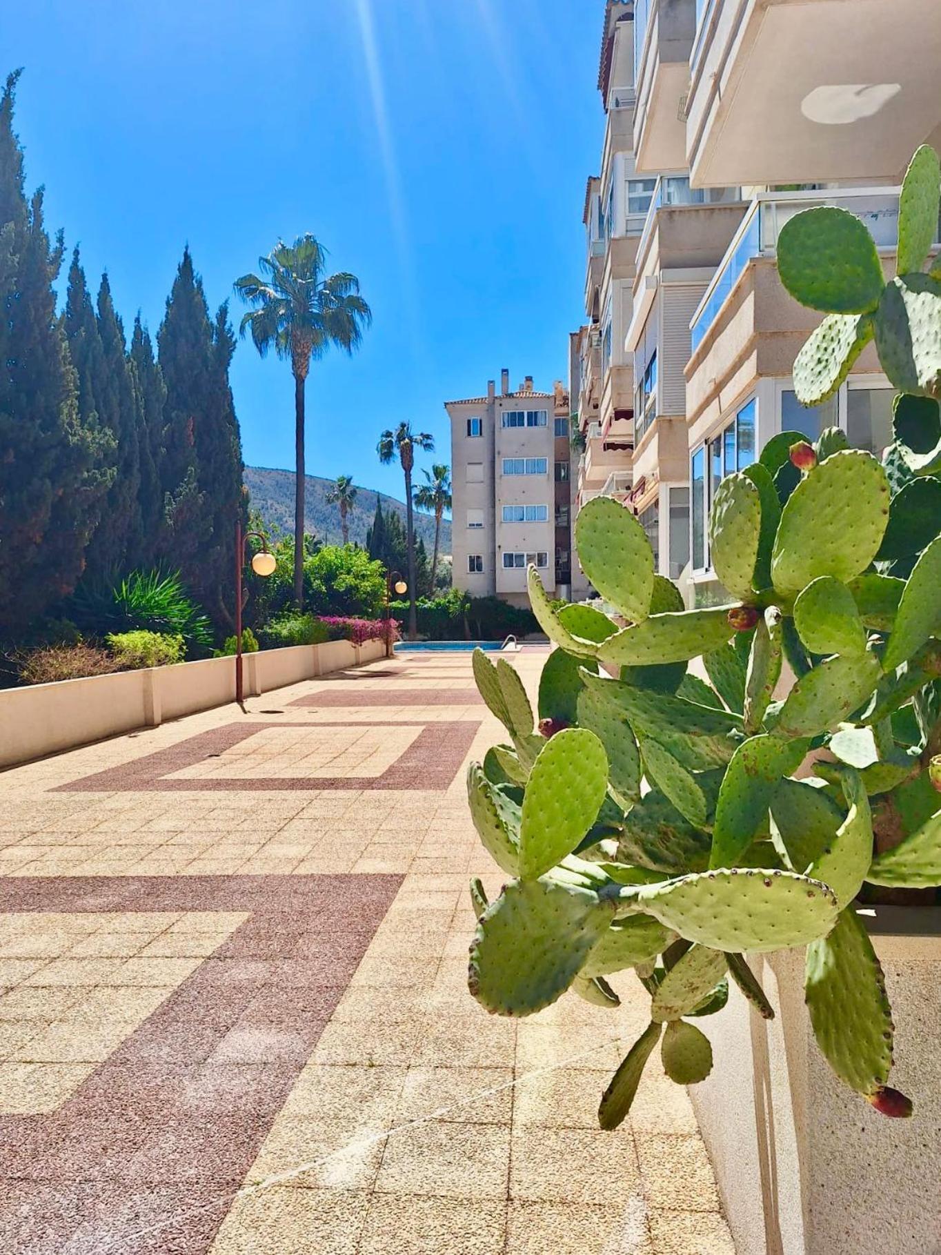 Apartment Sunny Albir El Albir