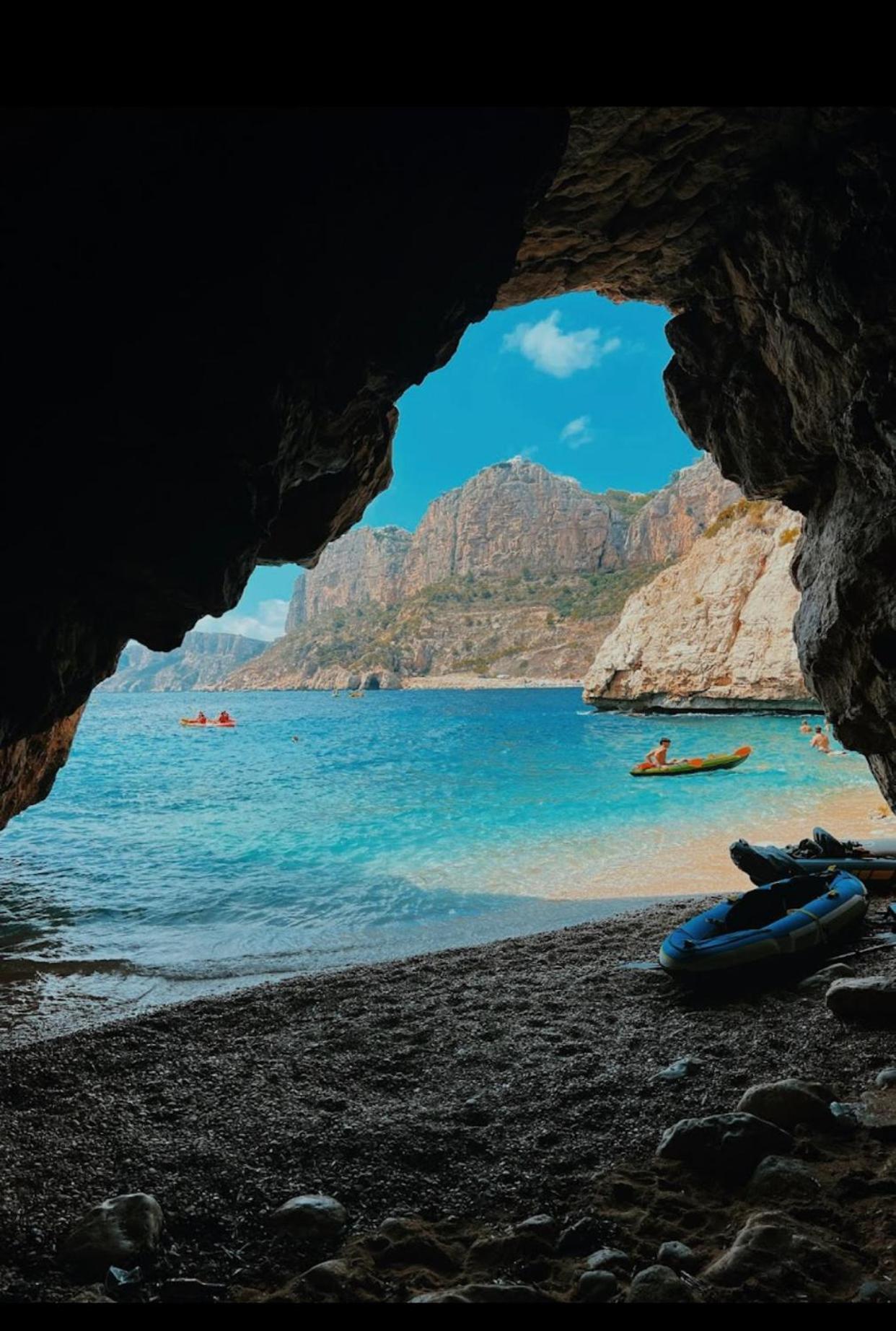 Palmeras Moraira *