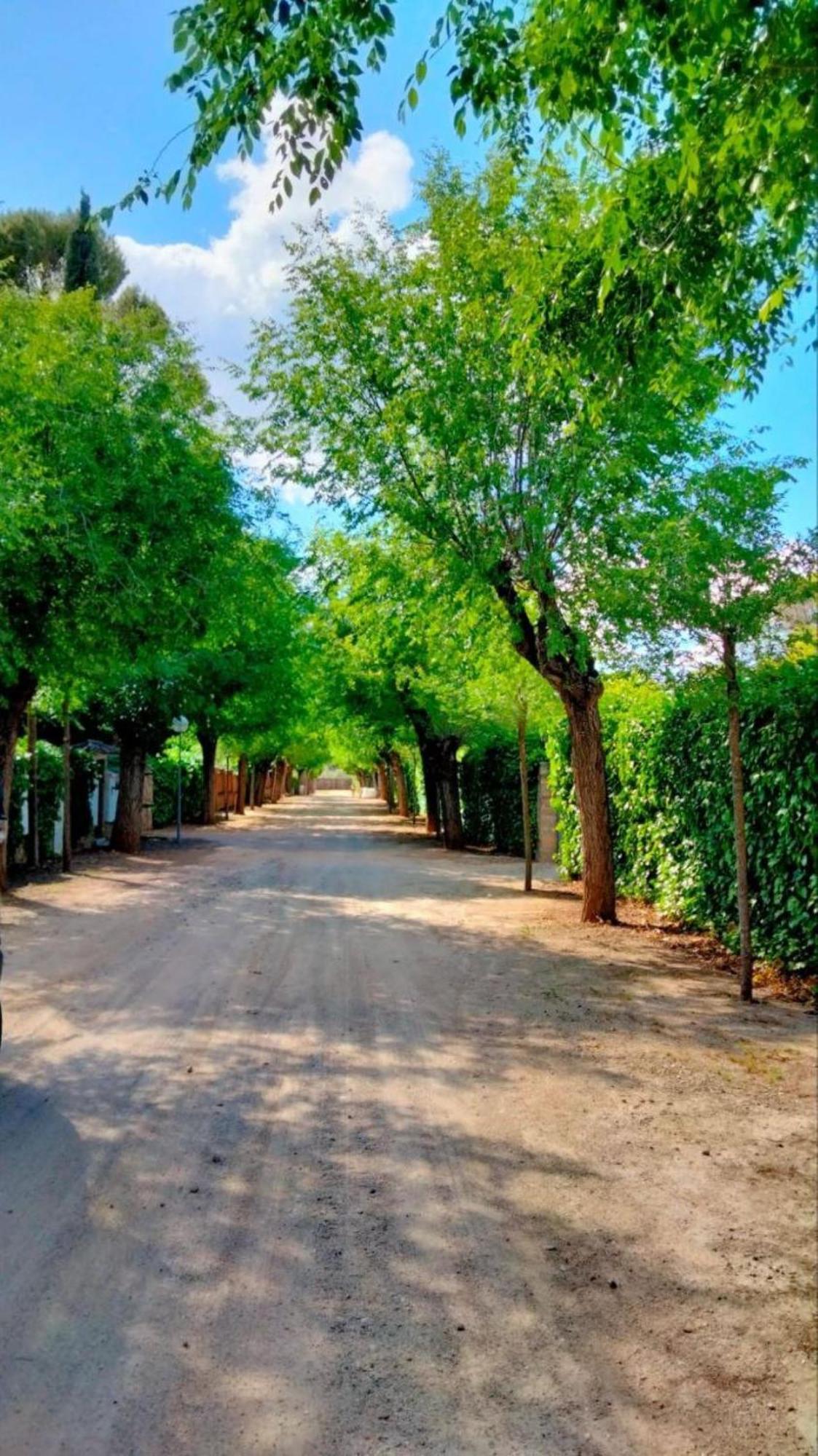 Сasa de vacaciones Arboledas Rural Baeza