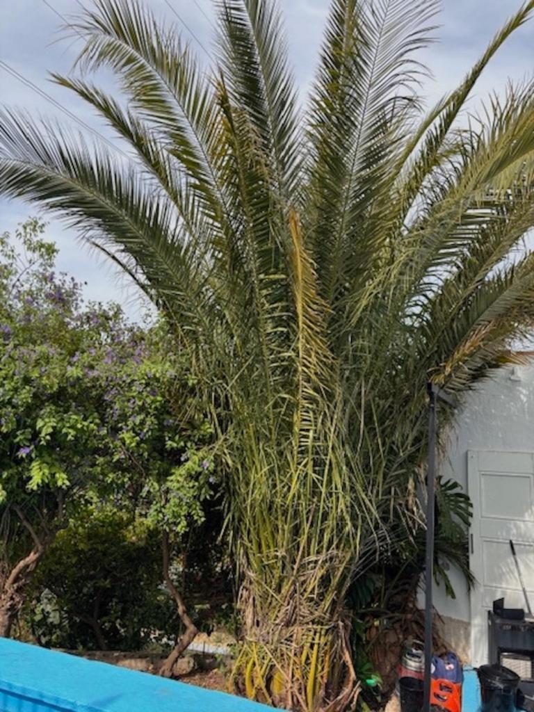 Сasa de vacaciones Finca Paraiso Escondido *
