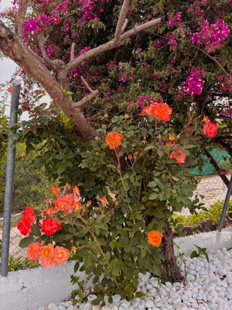 Finca Paraiso Escondido Сasa de vacaciones Alhaurín el Grande