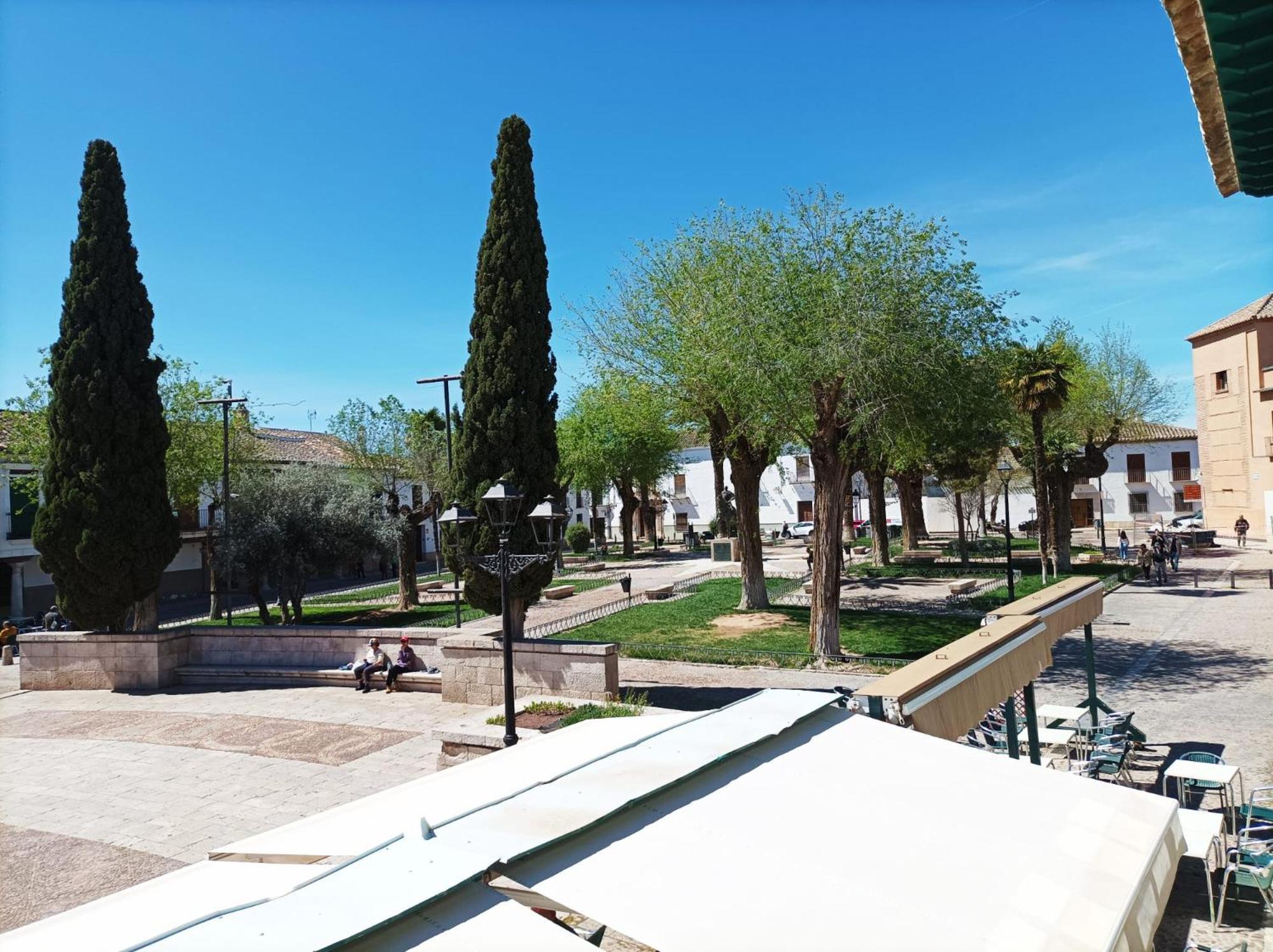 Plaza Mayor *