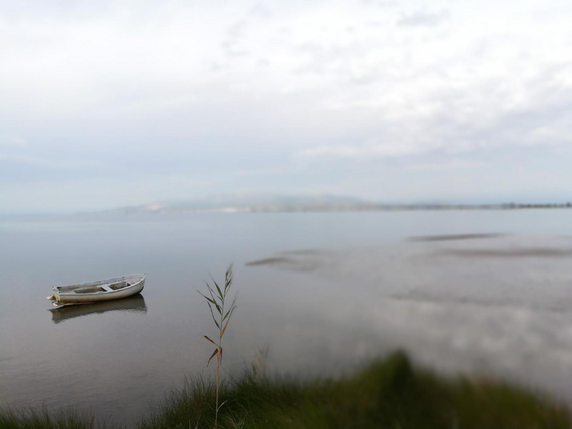 Lo Piset Del Delta: Con Piscina 4 L'Aldea