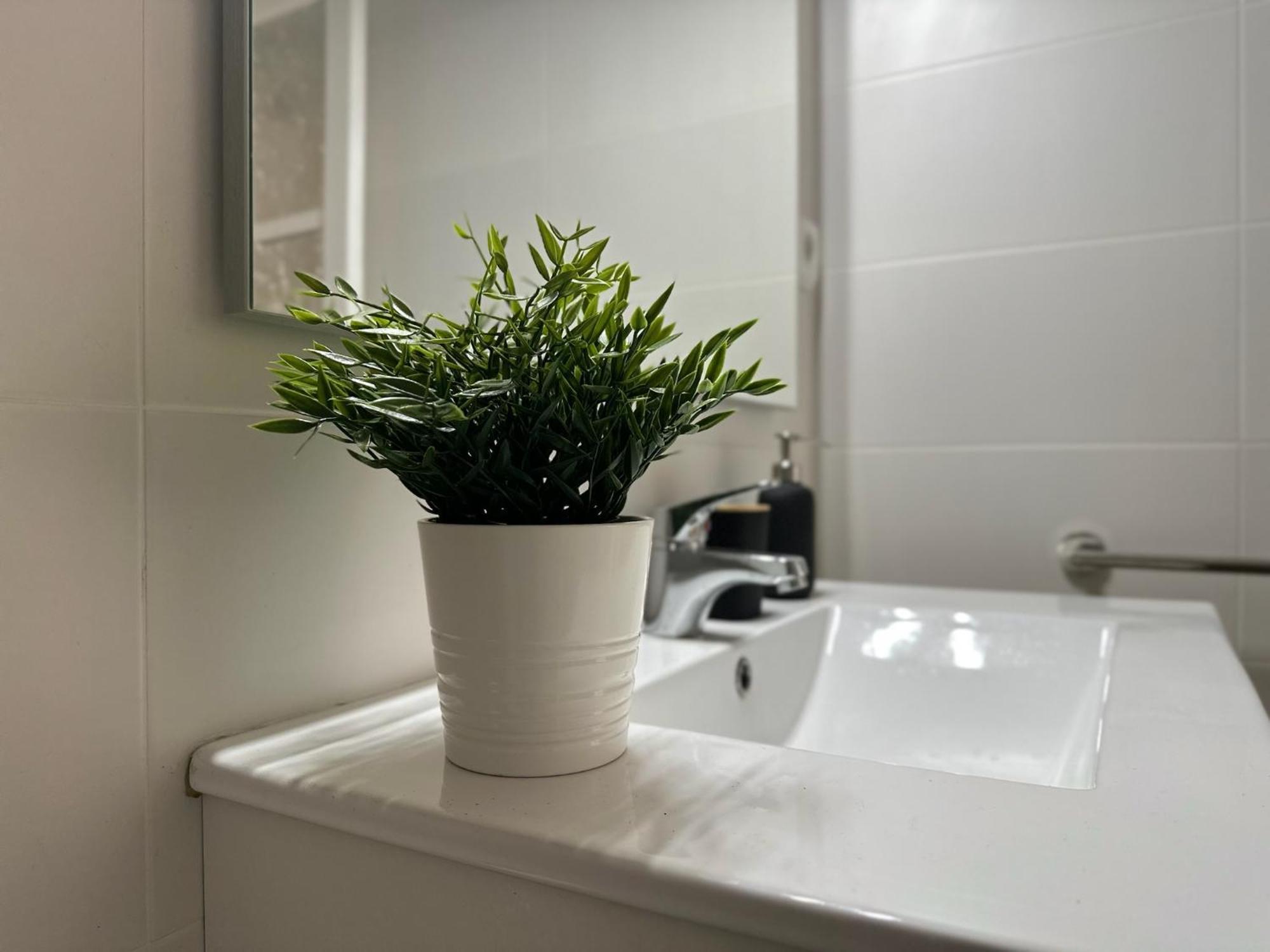 Apartamento Vernia