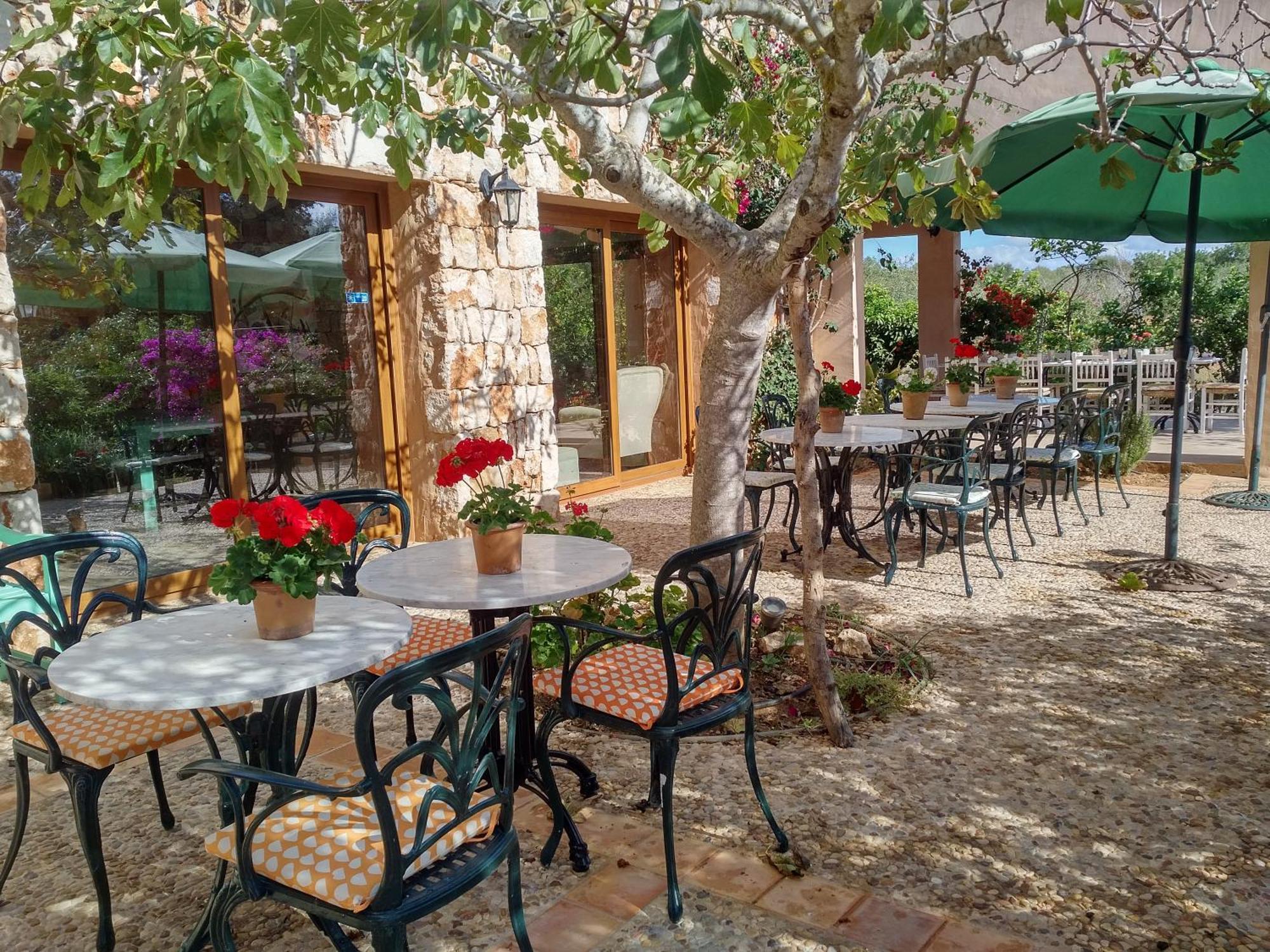 Son Marimon (adults Only) Farm stay *