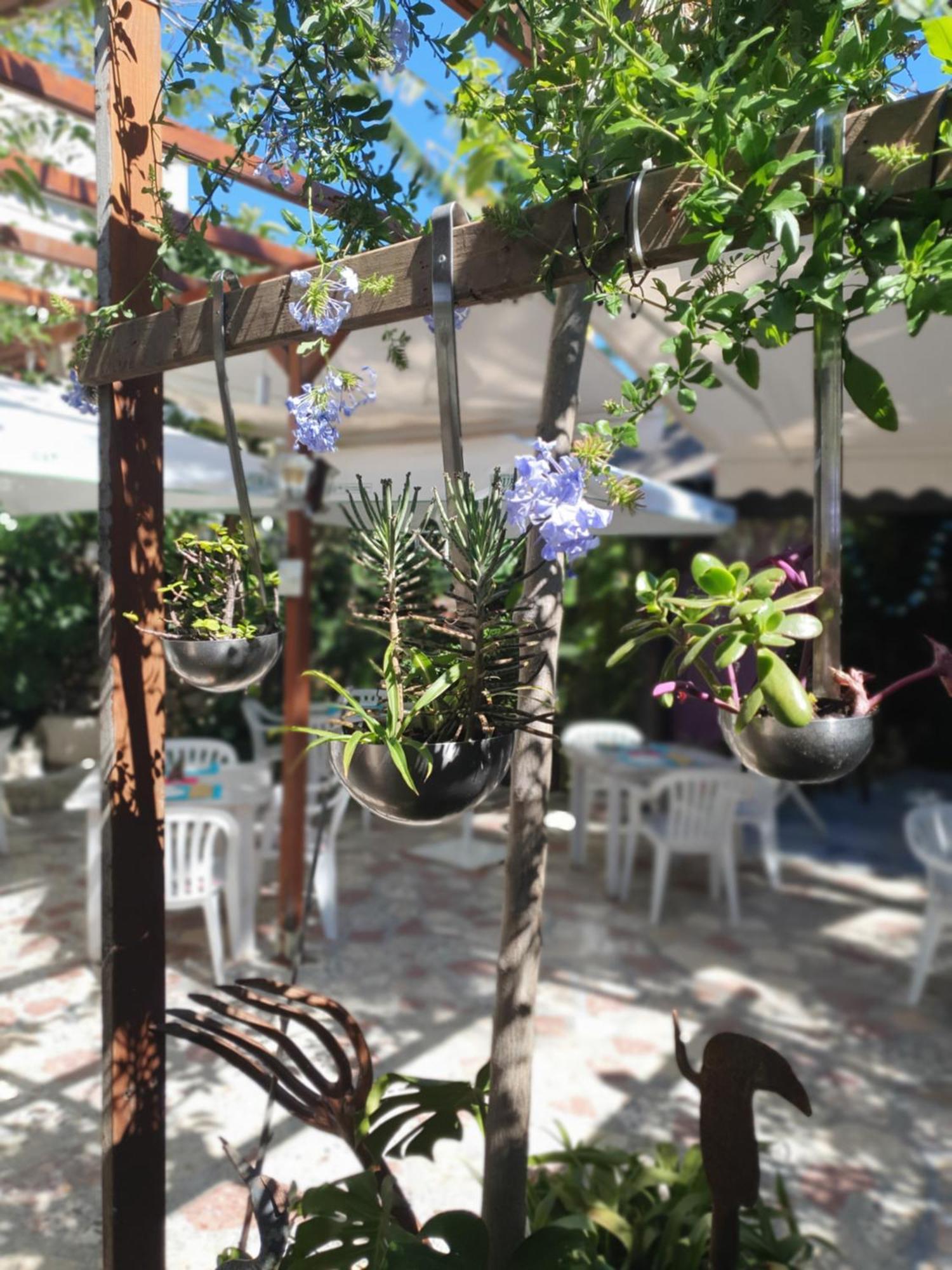 Guest house Mi Campana Denia