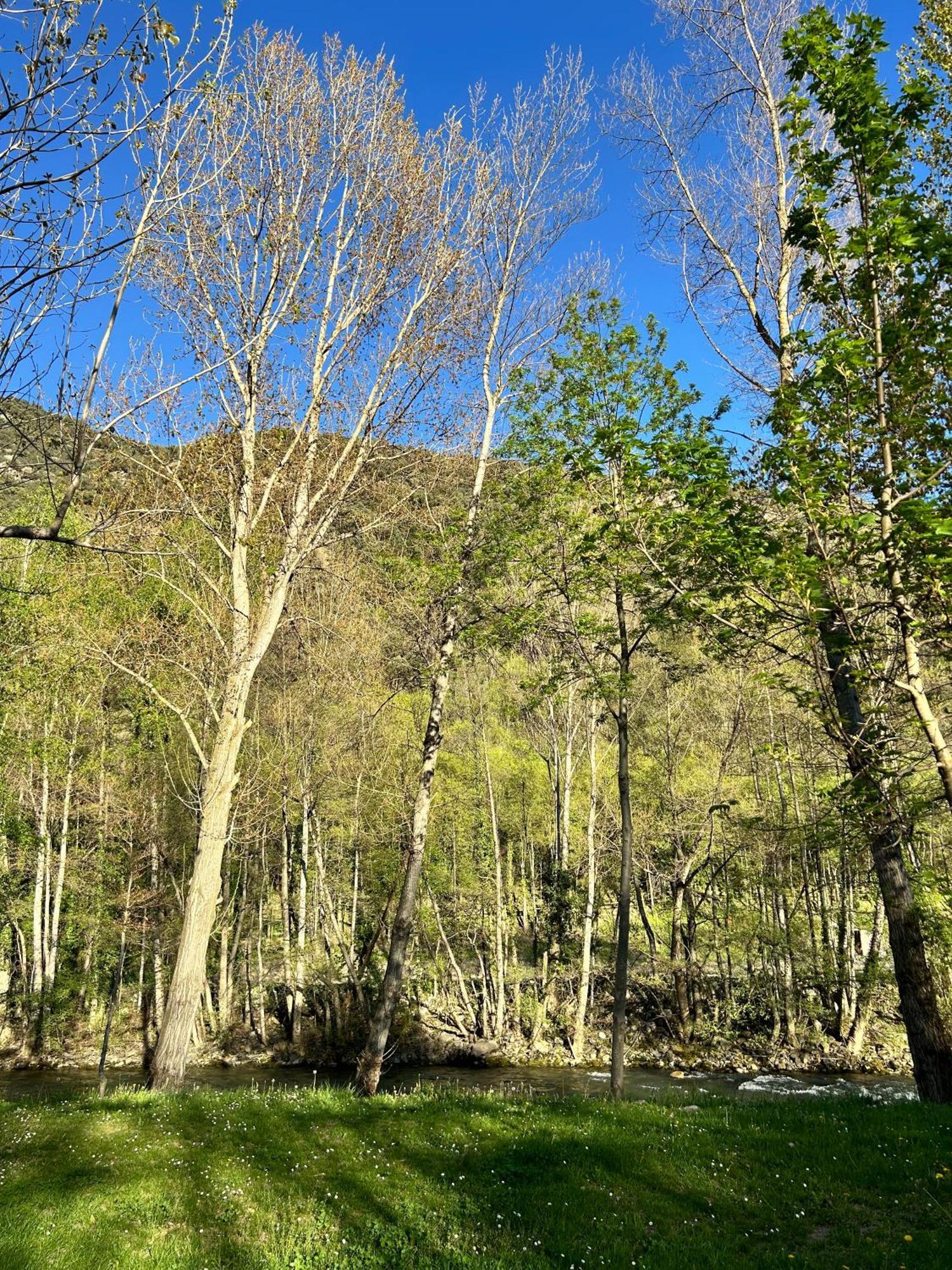 Campsite Noguera Pallaresa Sort