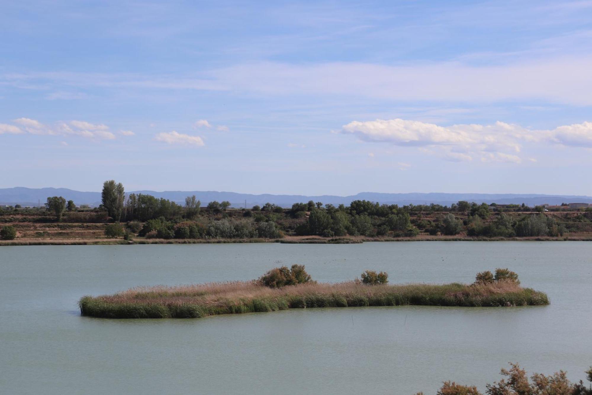 L'ocell Del Pla Holiday home
