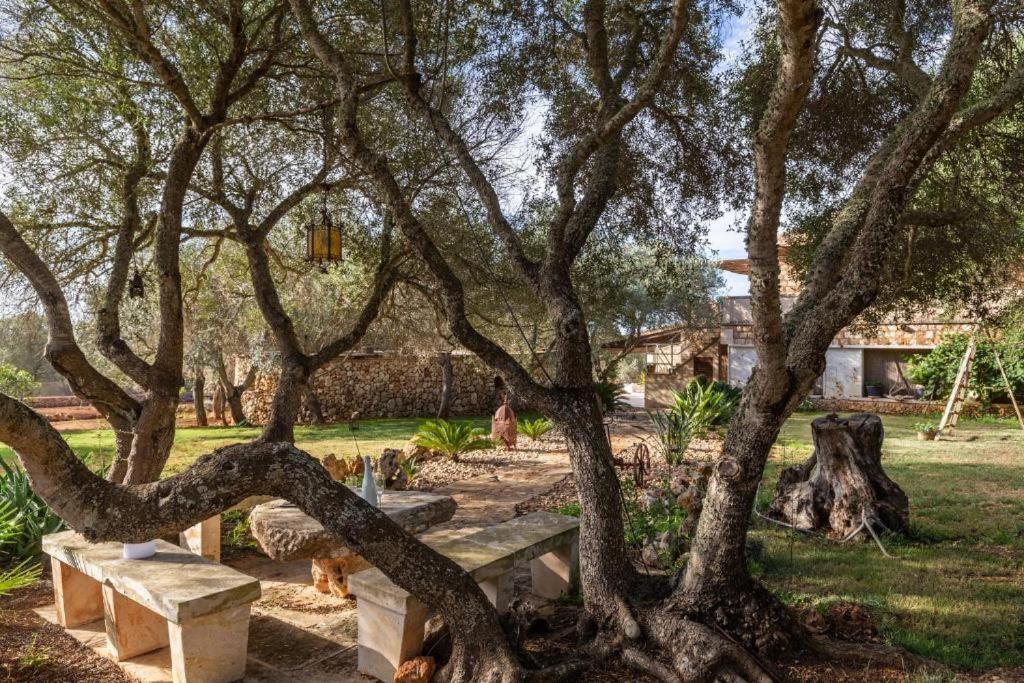 Сasa de vacaciones Rural S'art 9 *