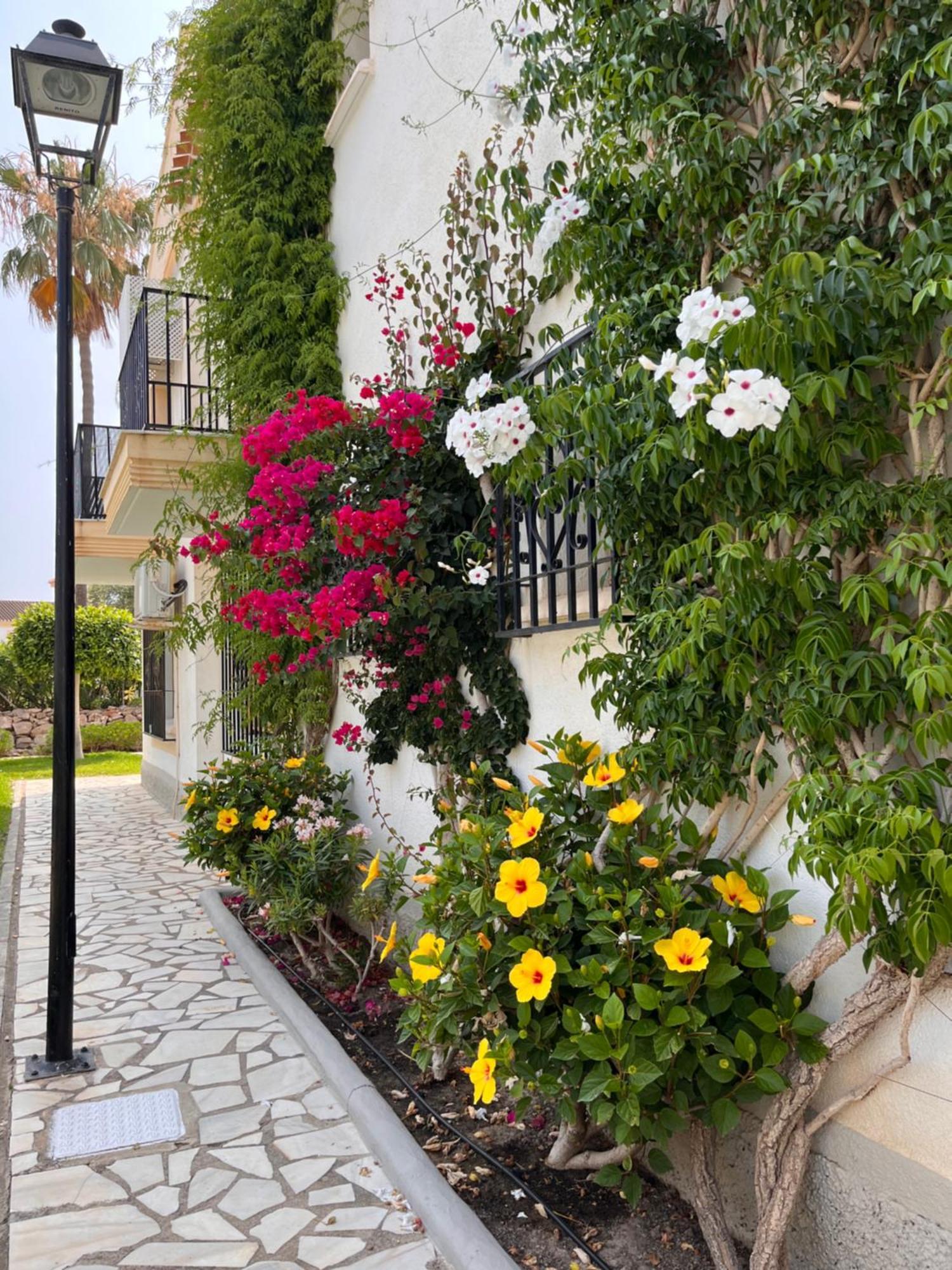 Apartamento Duplex Olimp Vera Costa