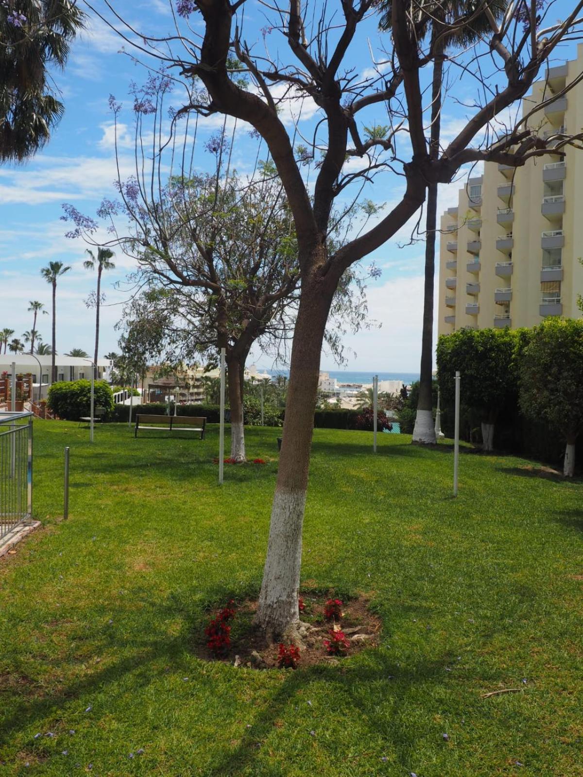 Apartamento Puerto Marina-playa Malapesquera Benalmádena