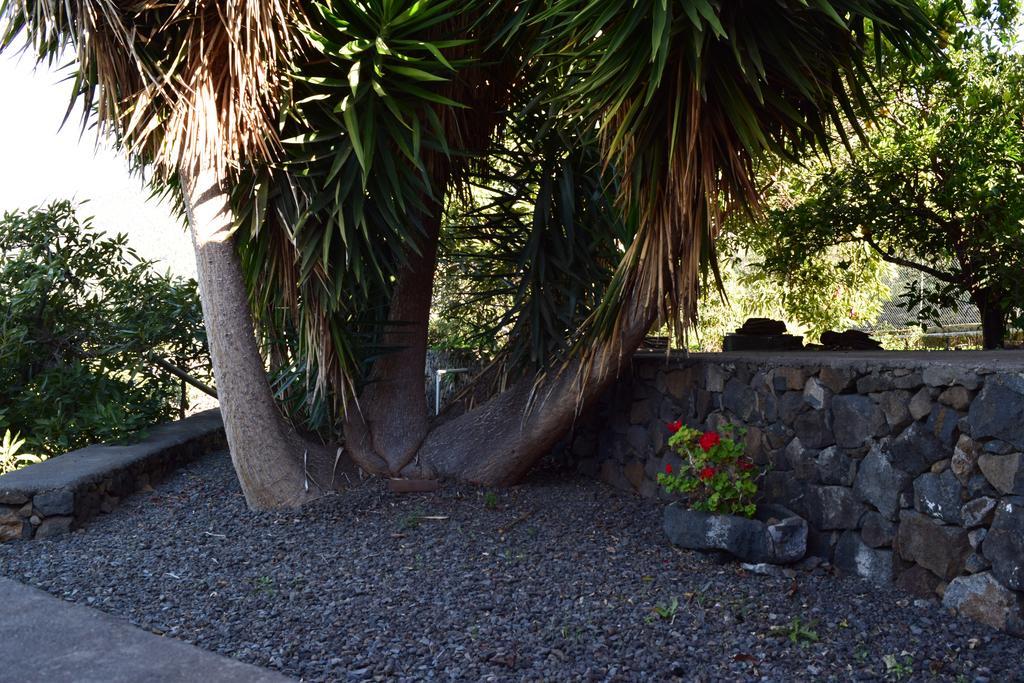Olga Country house El Paso
