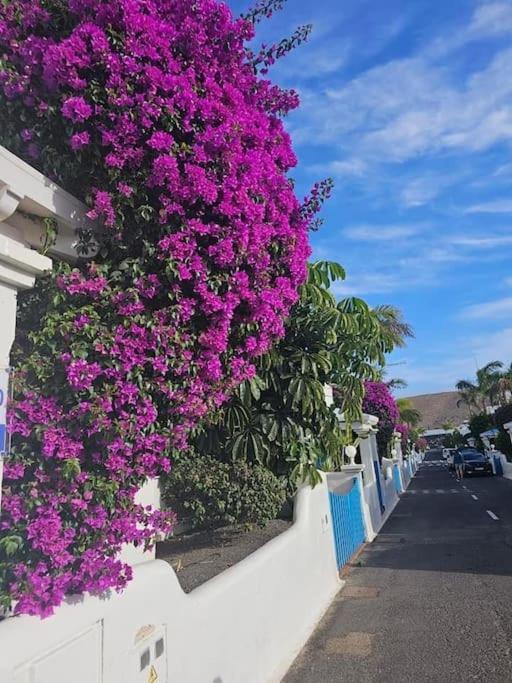 Apartamento Pavla Apartment Costa Calma