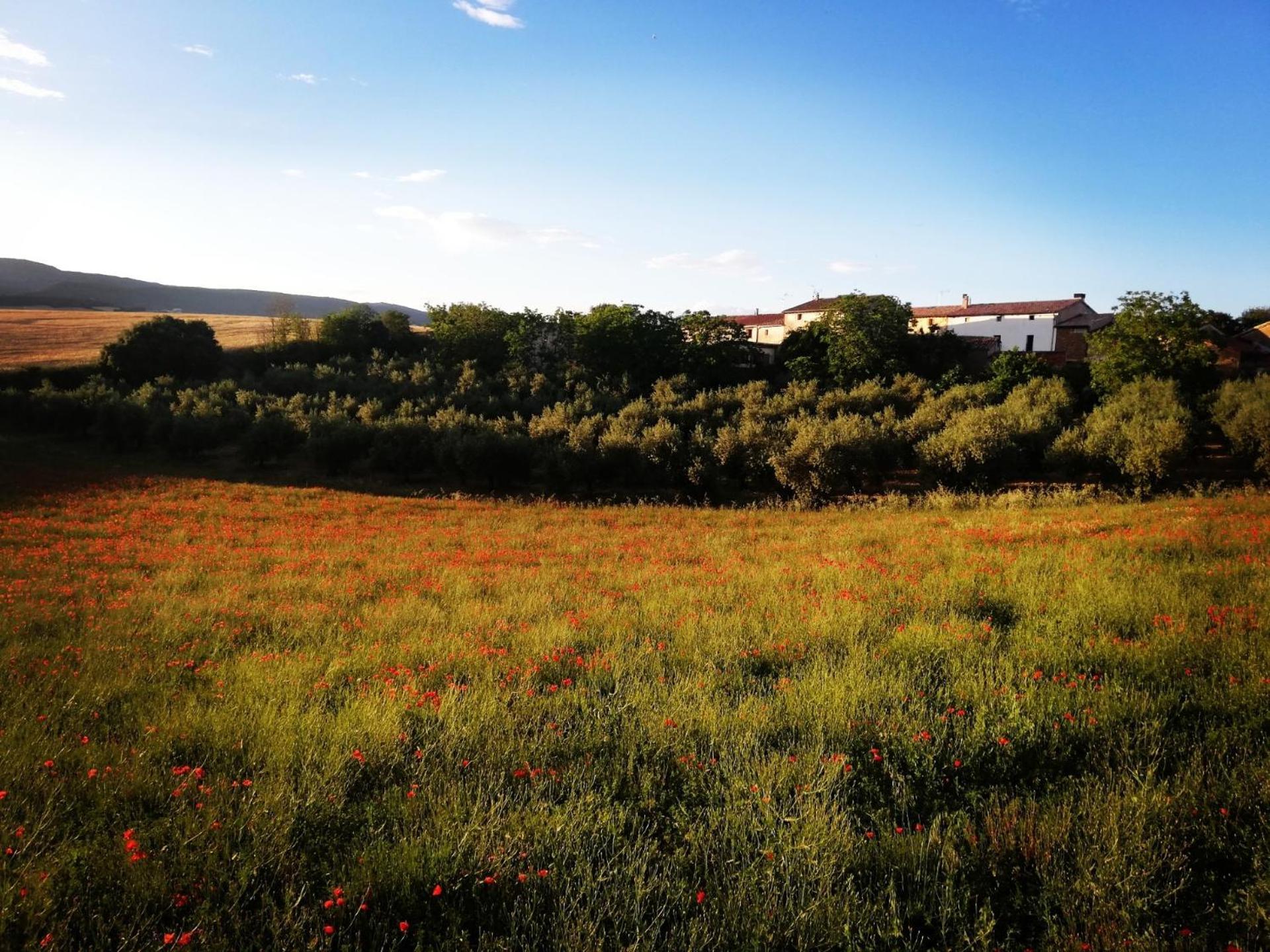 Casa Luka Etxea *