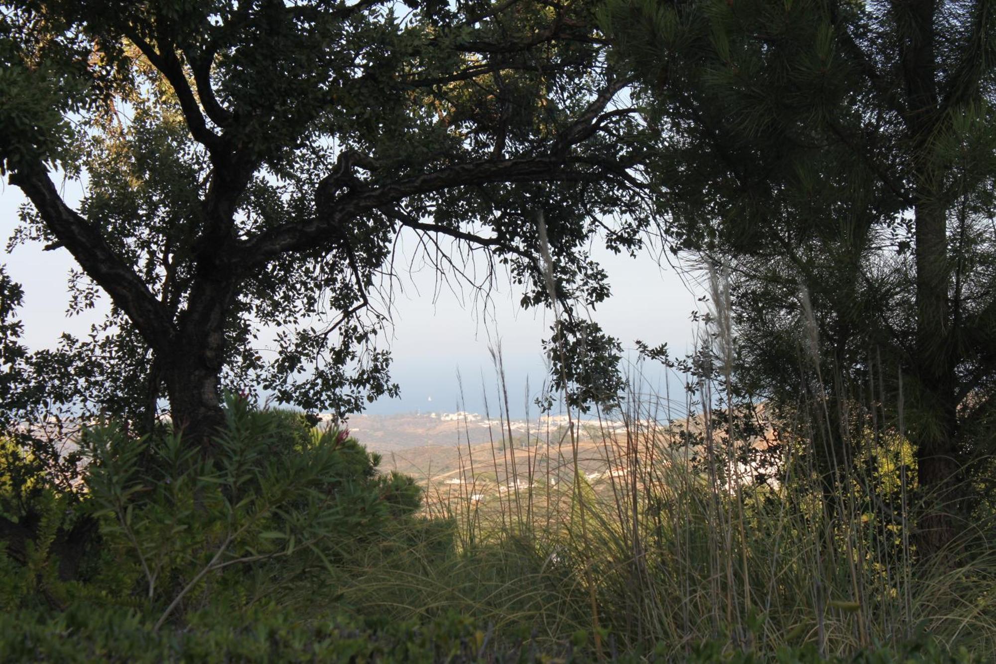 Elegant And Spacious Garden With Beautiful Views Ojén