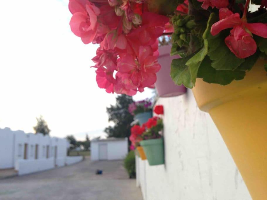 Murtra Especial Familia Hasta 16 Pax Piscina *