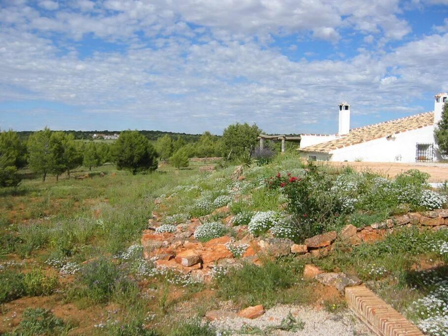 Сasa de vacaciones Gran Casa, Lagunas De Ruidera, Bbq, Porche, Chimenea *
