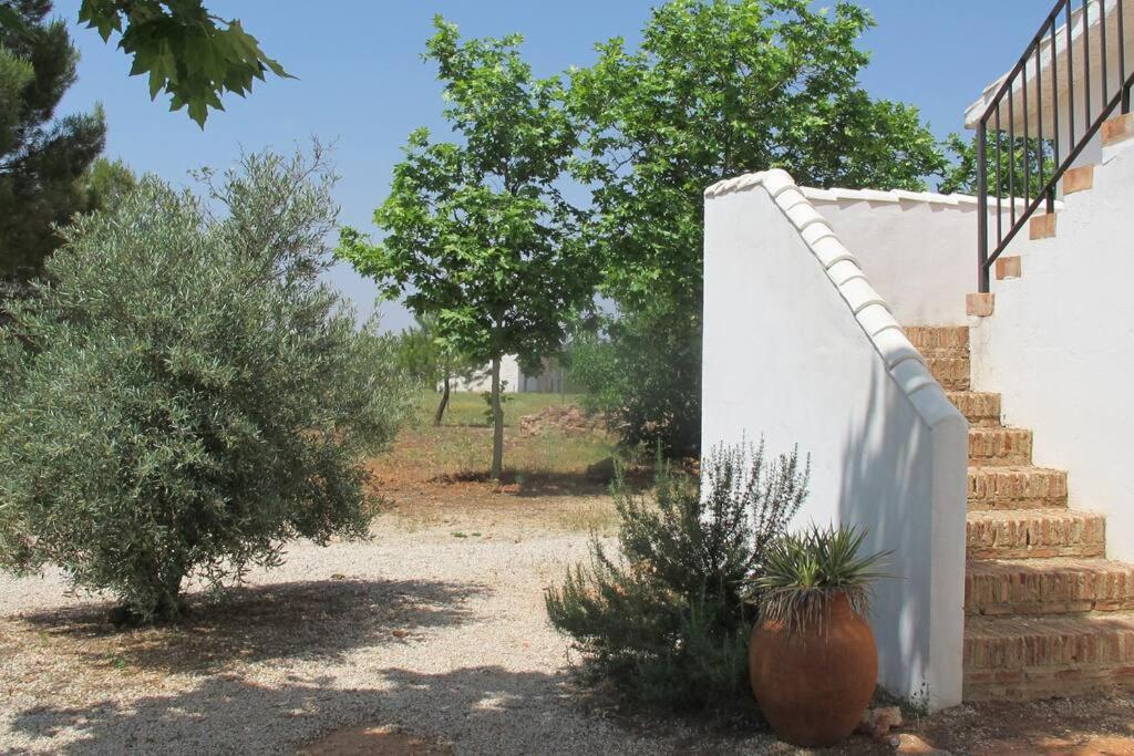 Gran Casa, Lagunas De Ruidera, Bbq, Porche, Chimenea Ruidera