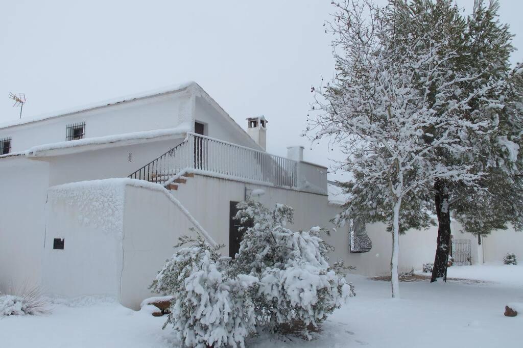 Gran Casa, Lagunas De Ruidera, Bbq, Porche, Chimenea Сasa de vacaciones