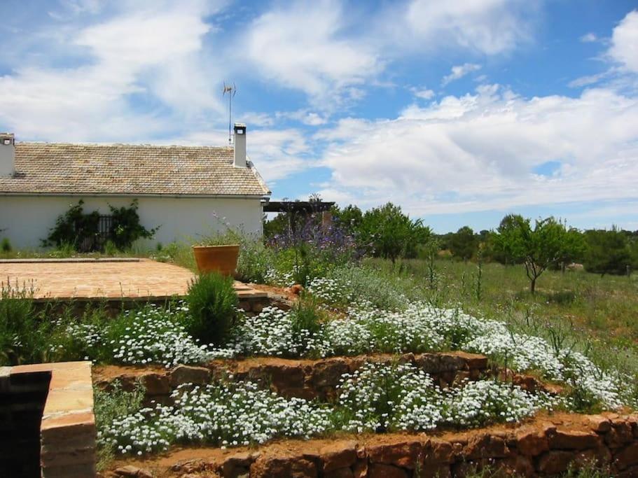Gran Casa, Lagunas De Ruidera, Bbq, Porche, Chimenea Сasa de vacaciones Ruidera