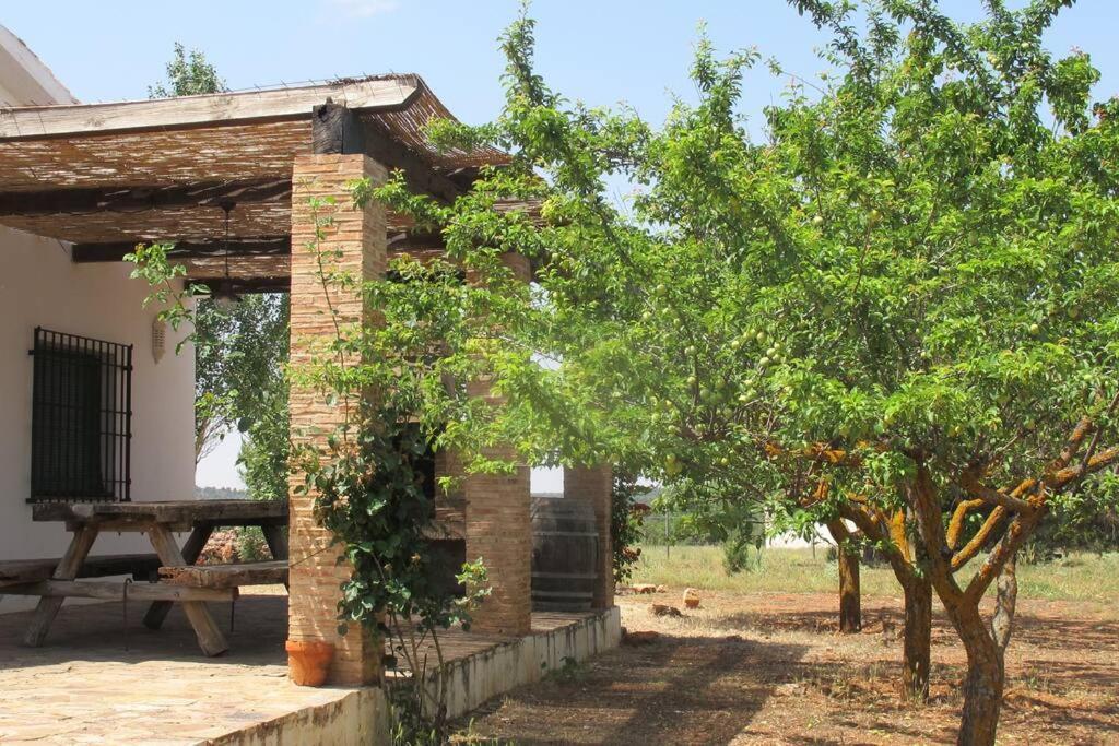 Сasa de vacaciones Gran Casa, Lagunas De Ruidera, Bbq, Porche, Chimenea *